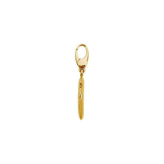 14k-yellow-gold-sunfish-charm/pendant