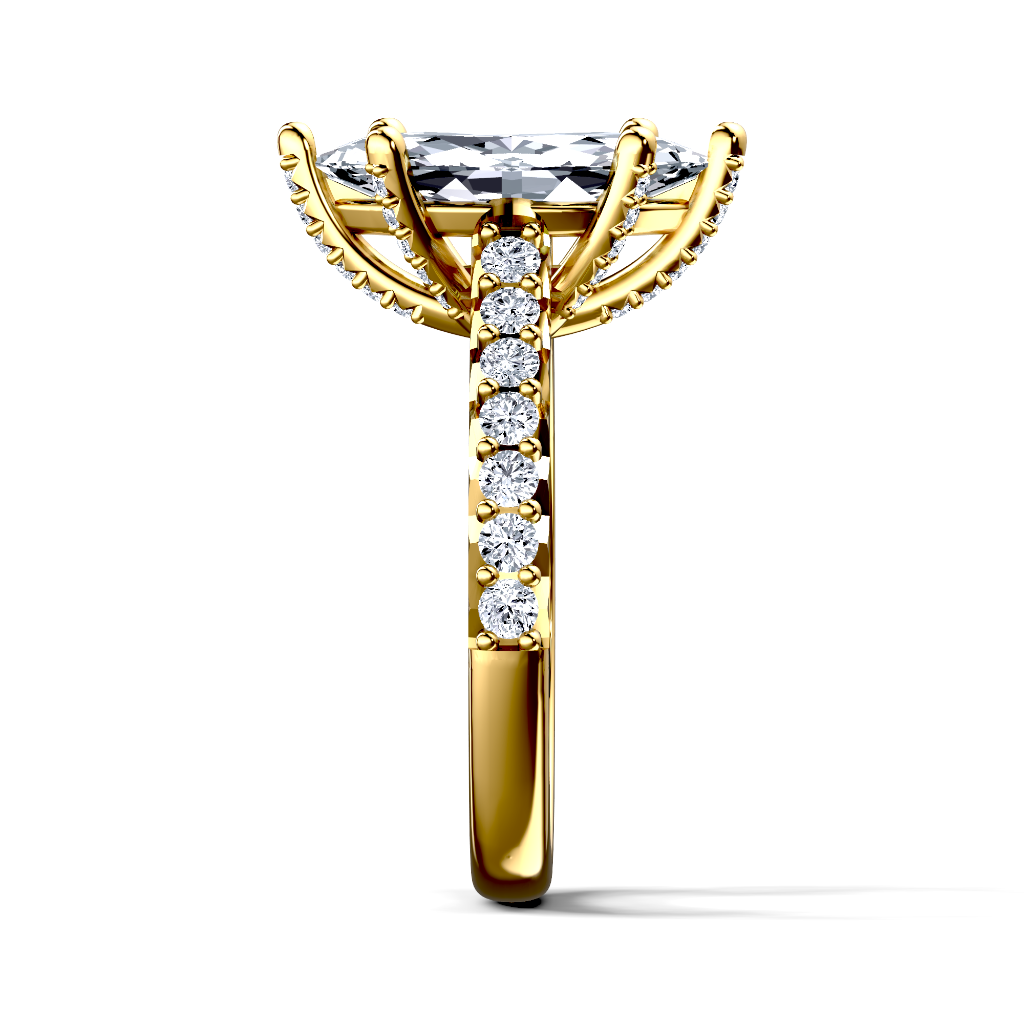 Image for The Aria