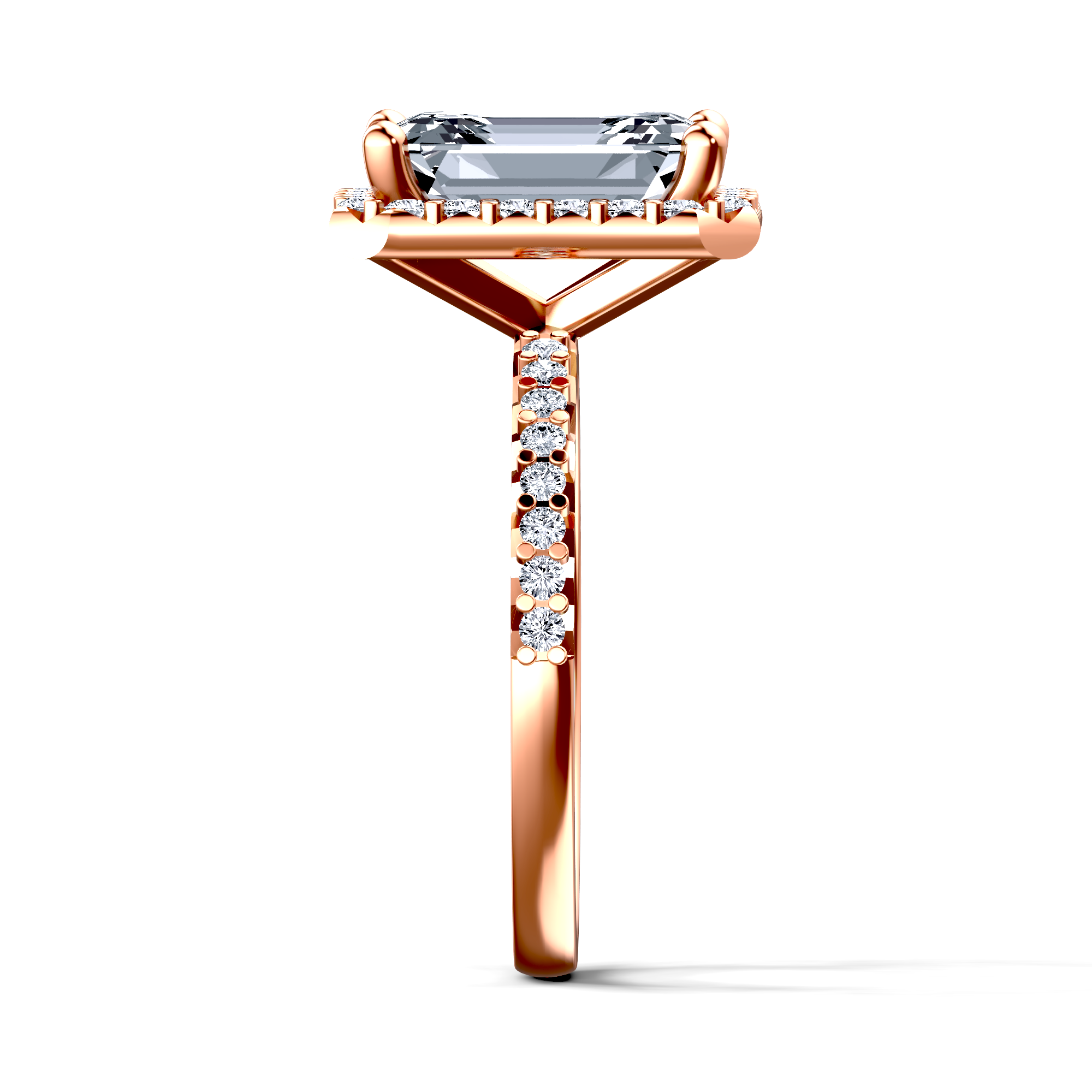 Image for The Celeste