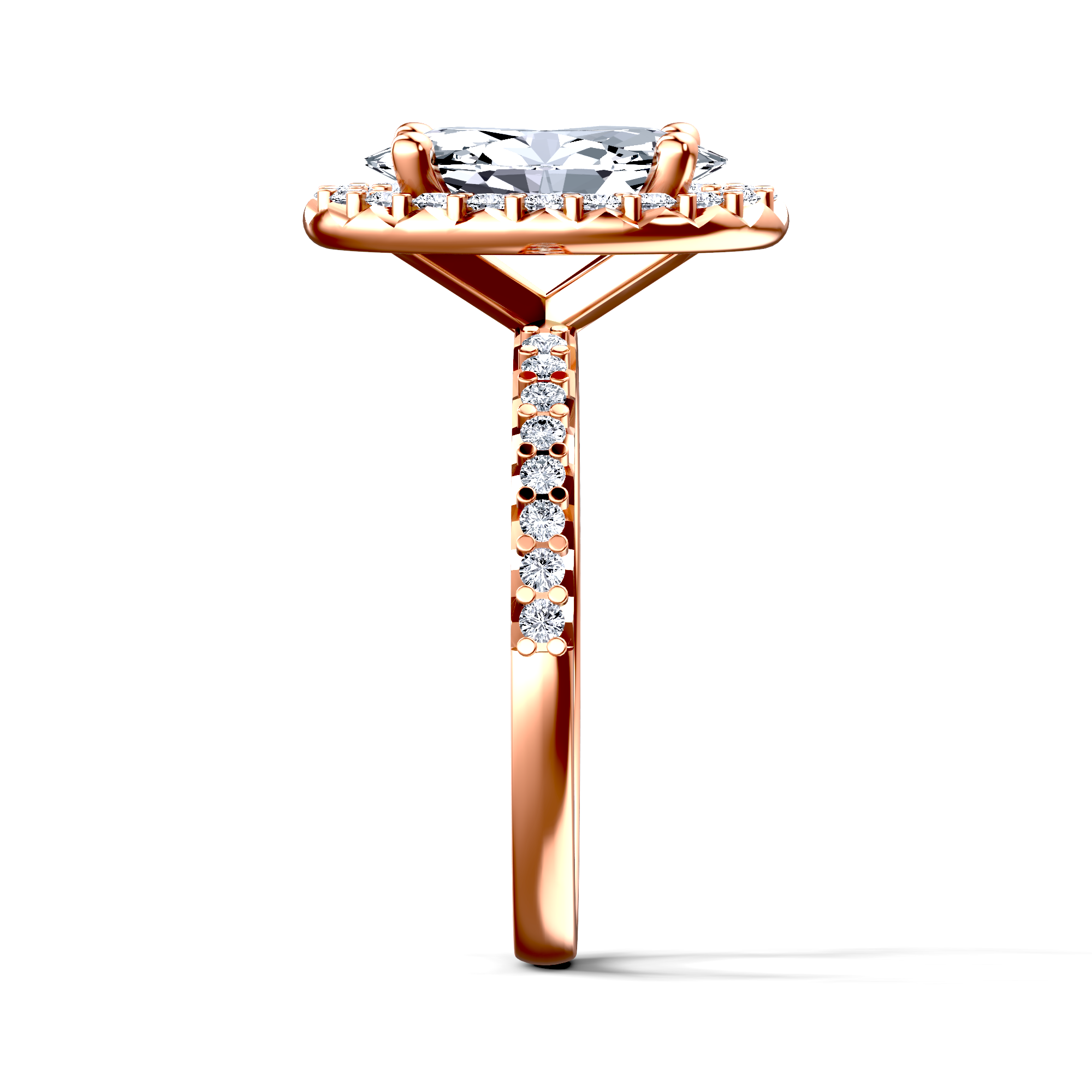 Image for The Celeste