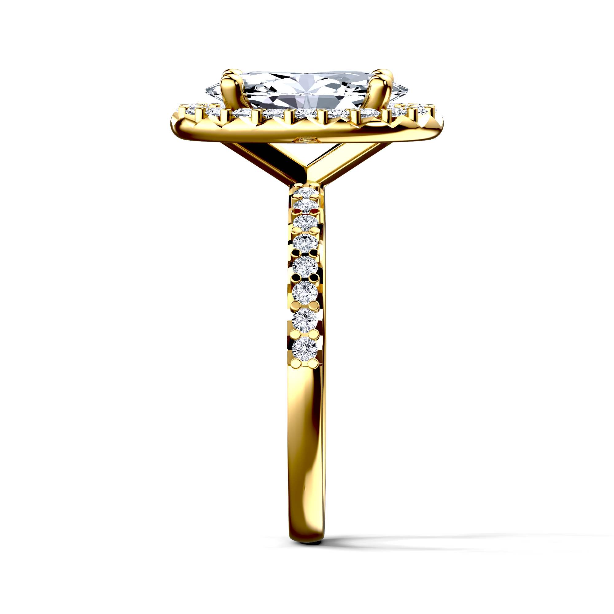 Image for The Celeste