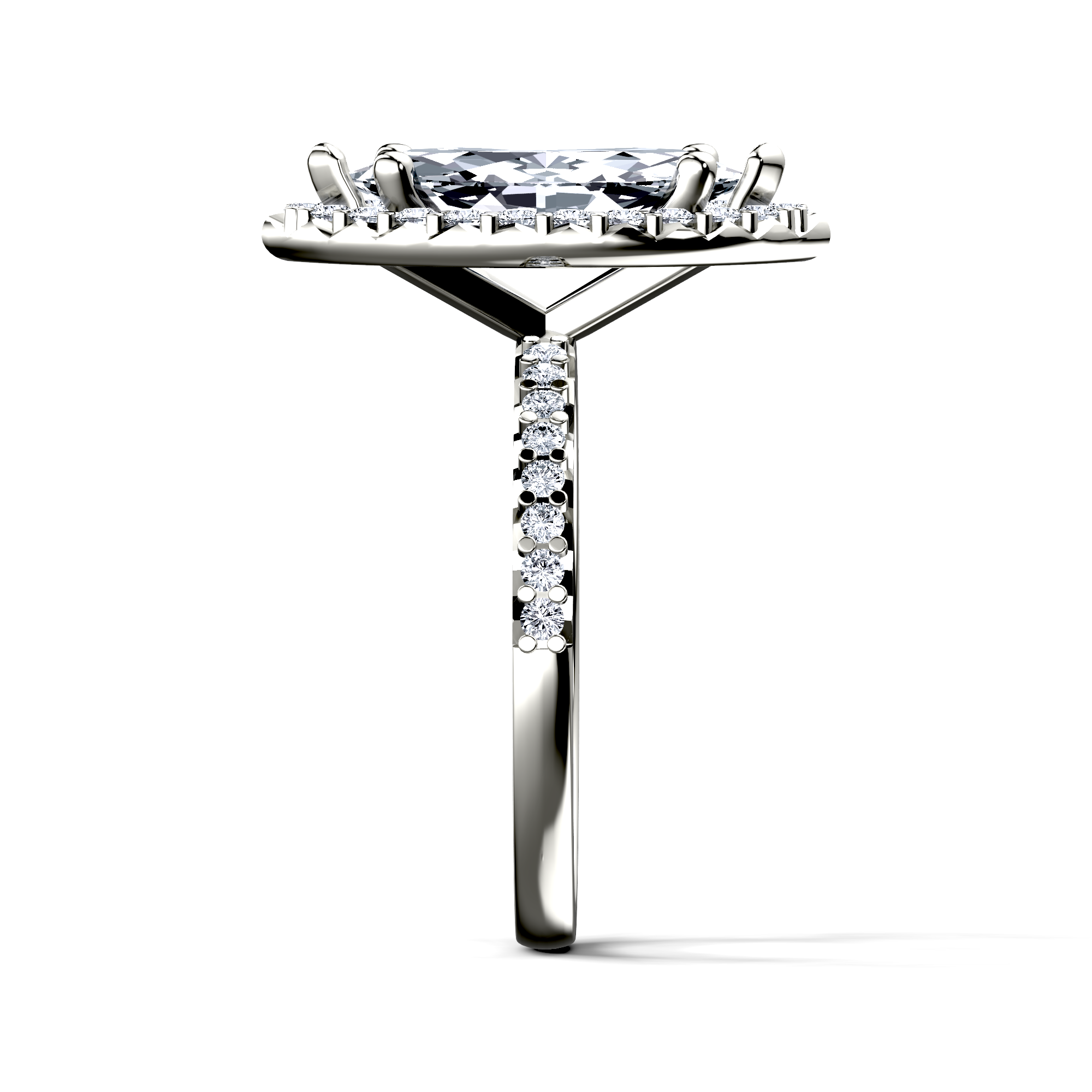 Image for The Celeste