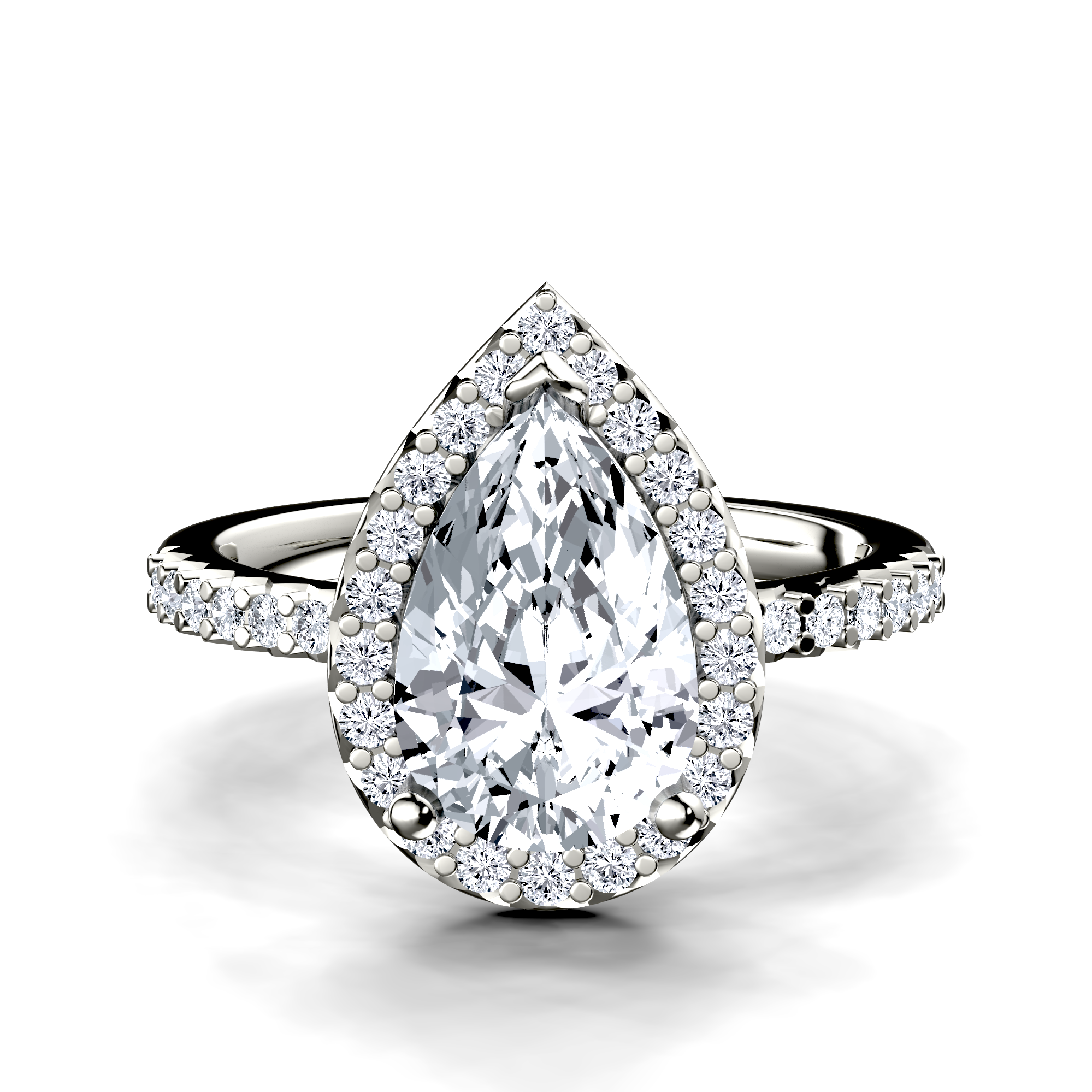 Image for The Celeste