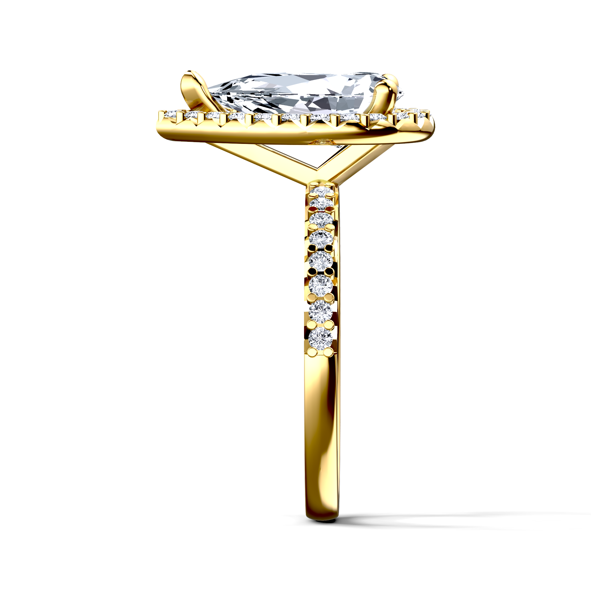 Image for The Celeste