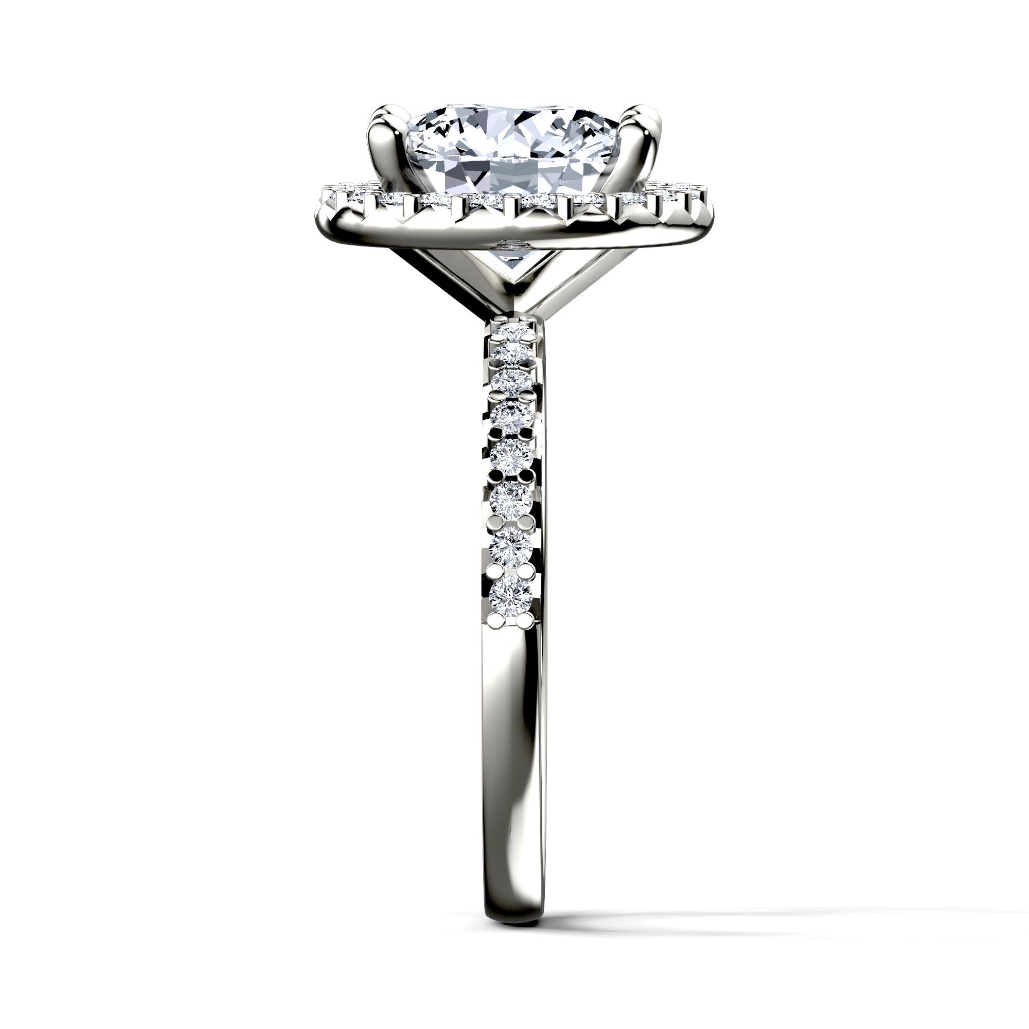 Image for The Celeste