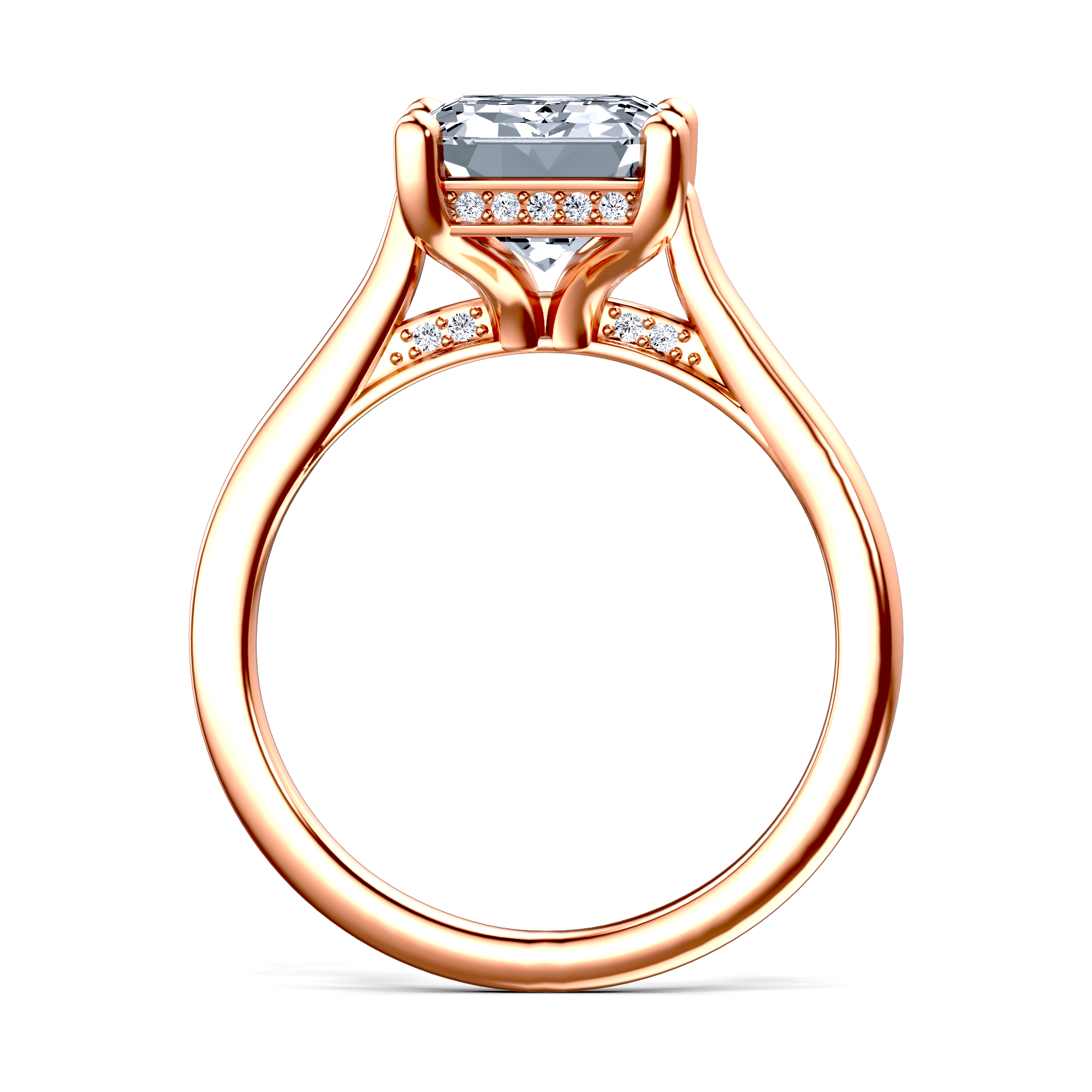 Image for The Theia