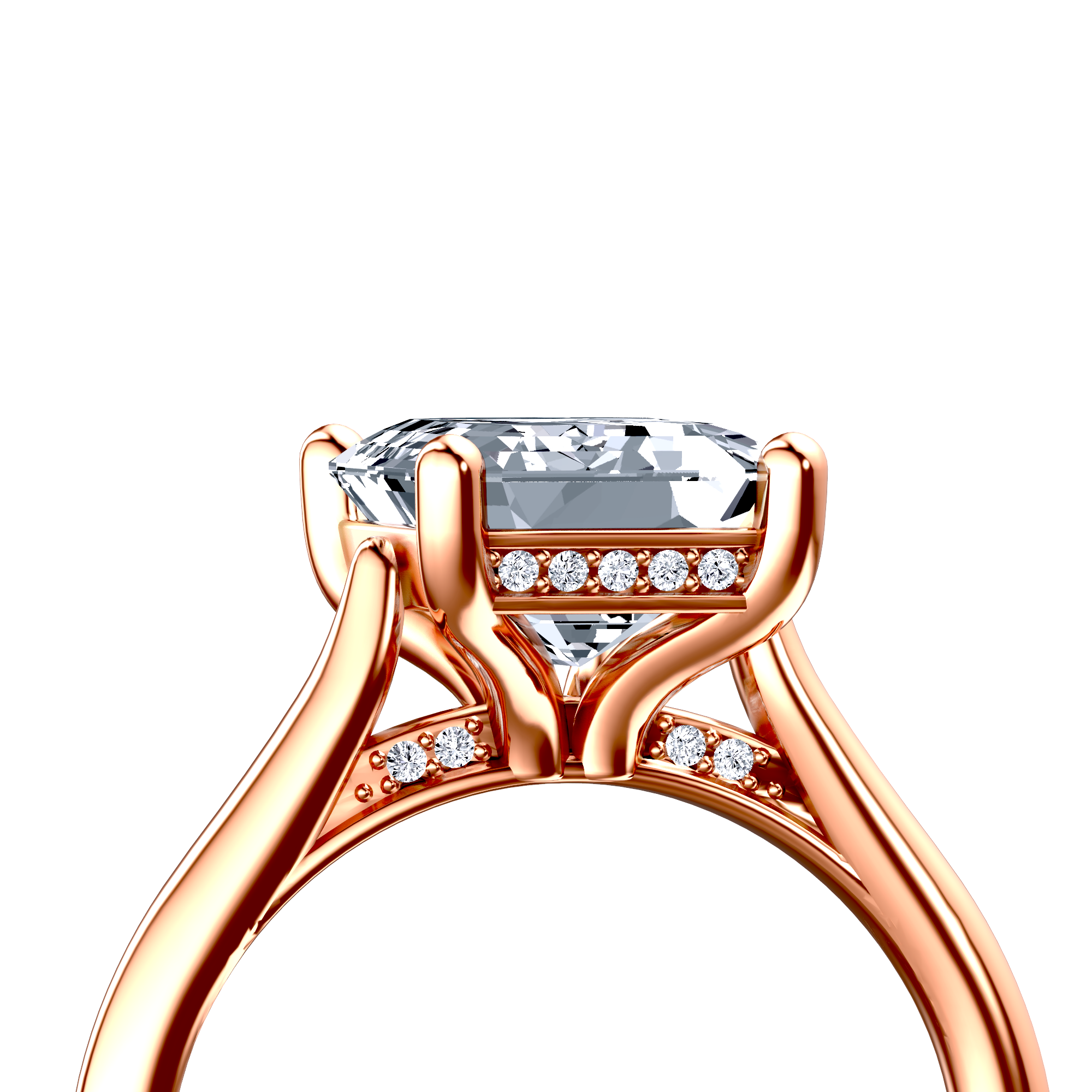 Image for The Theia