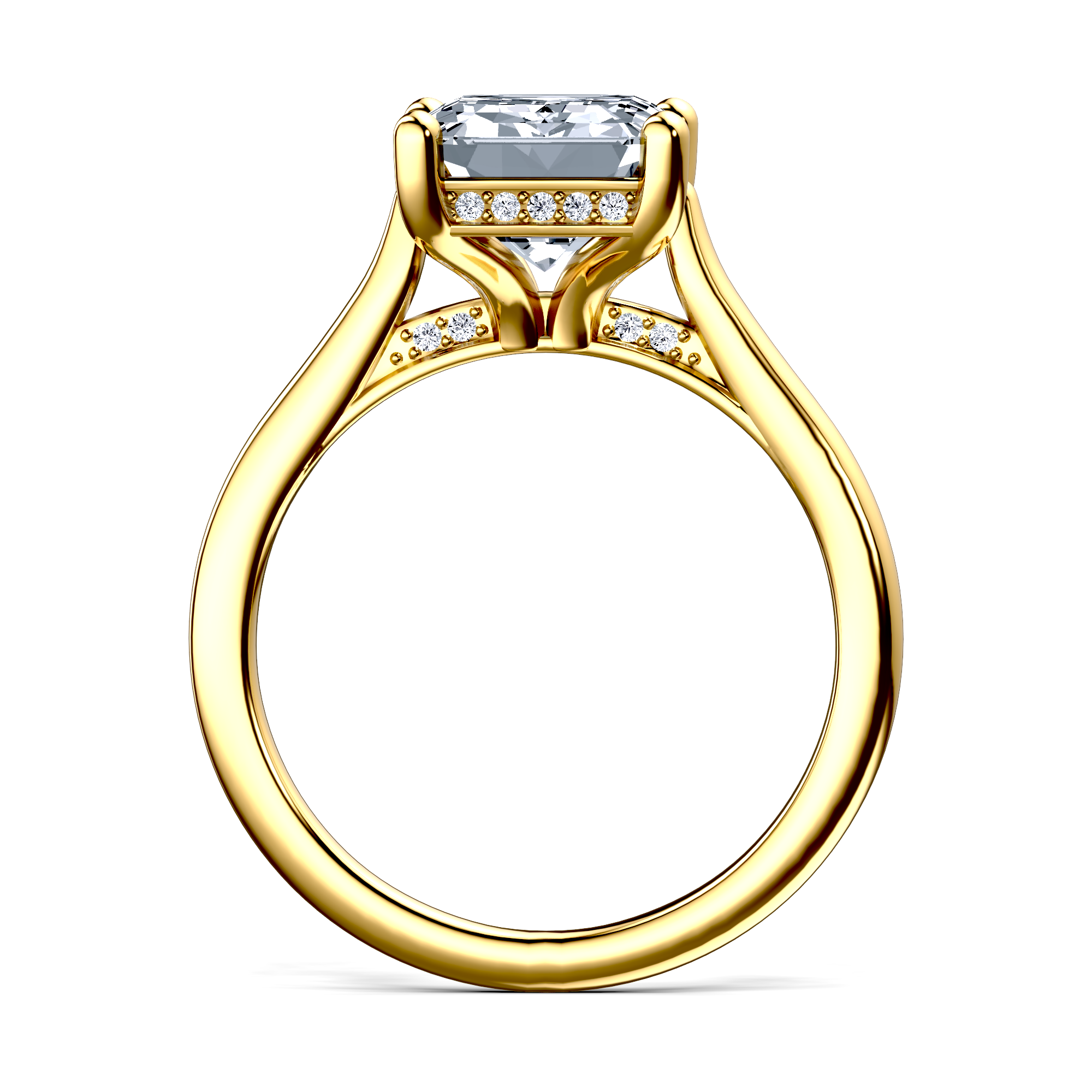 Image for The Theia
