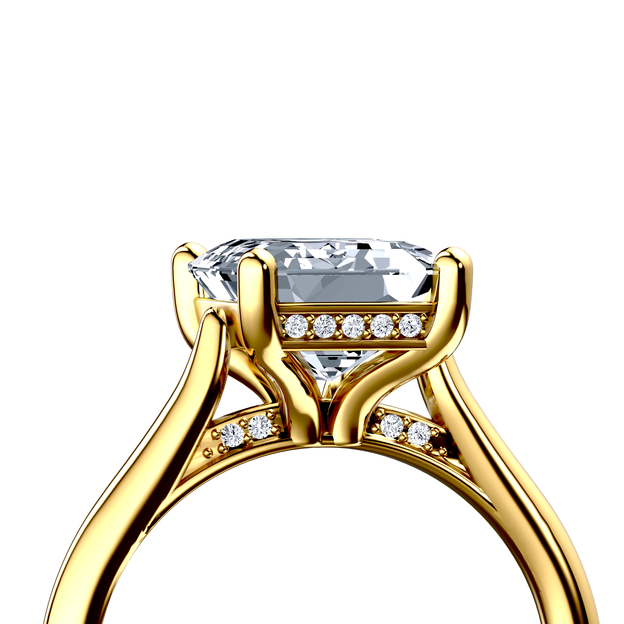 Image for The Theia