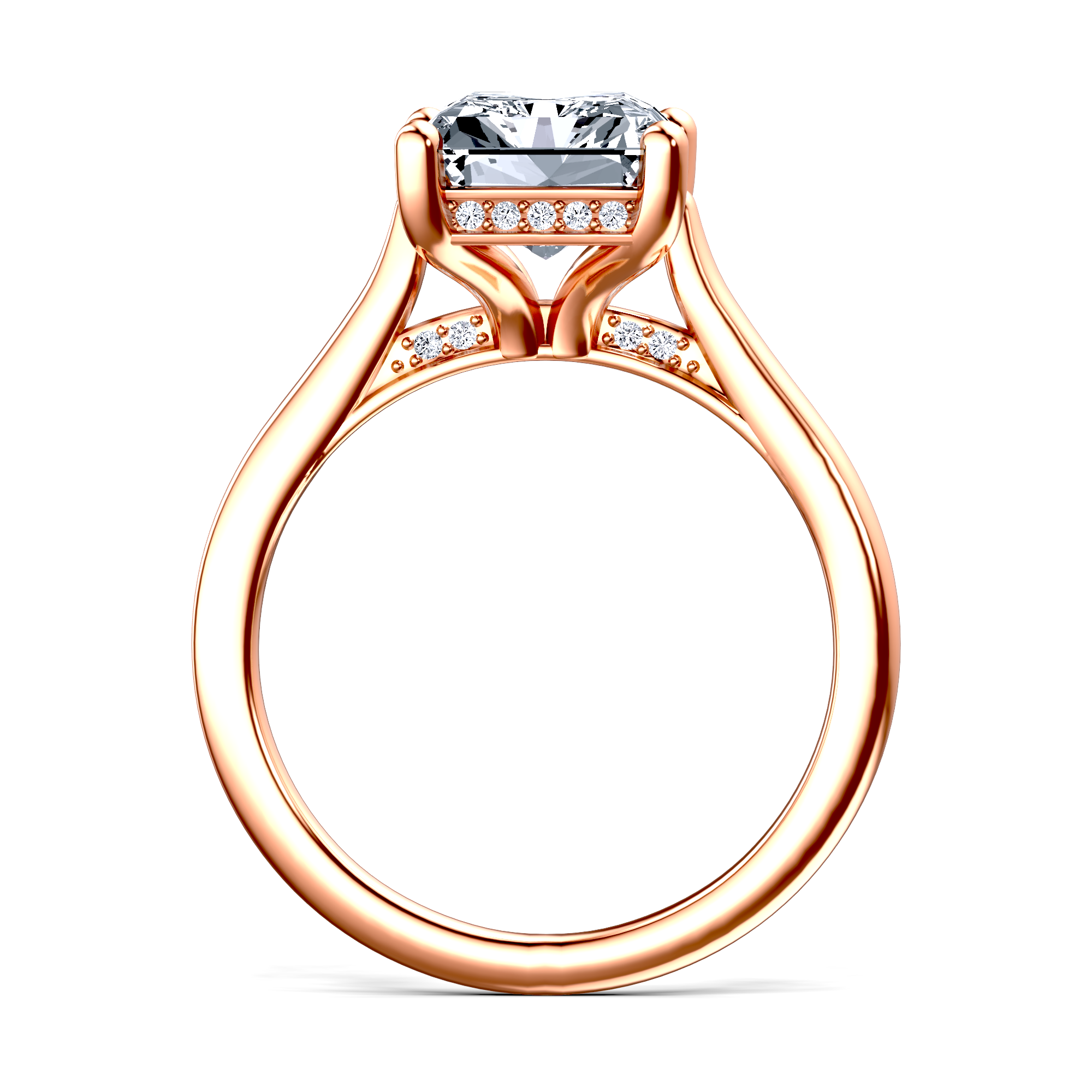 Image for The Theia