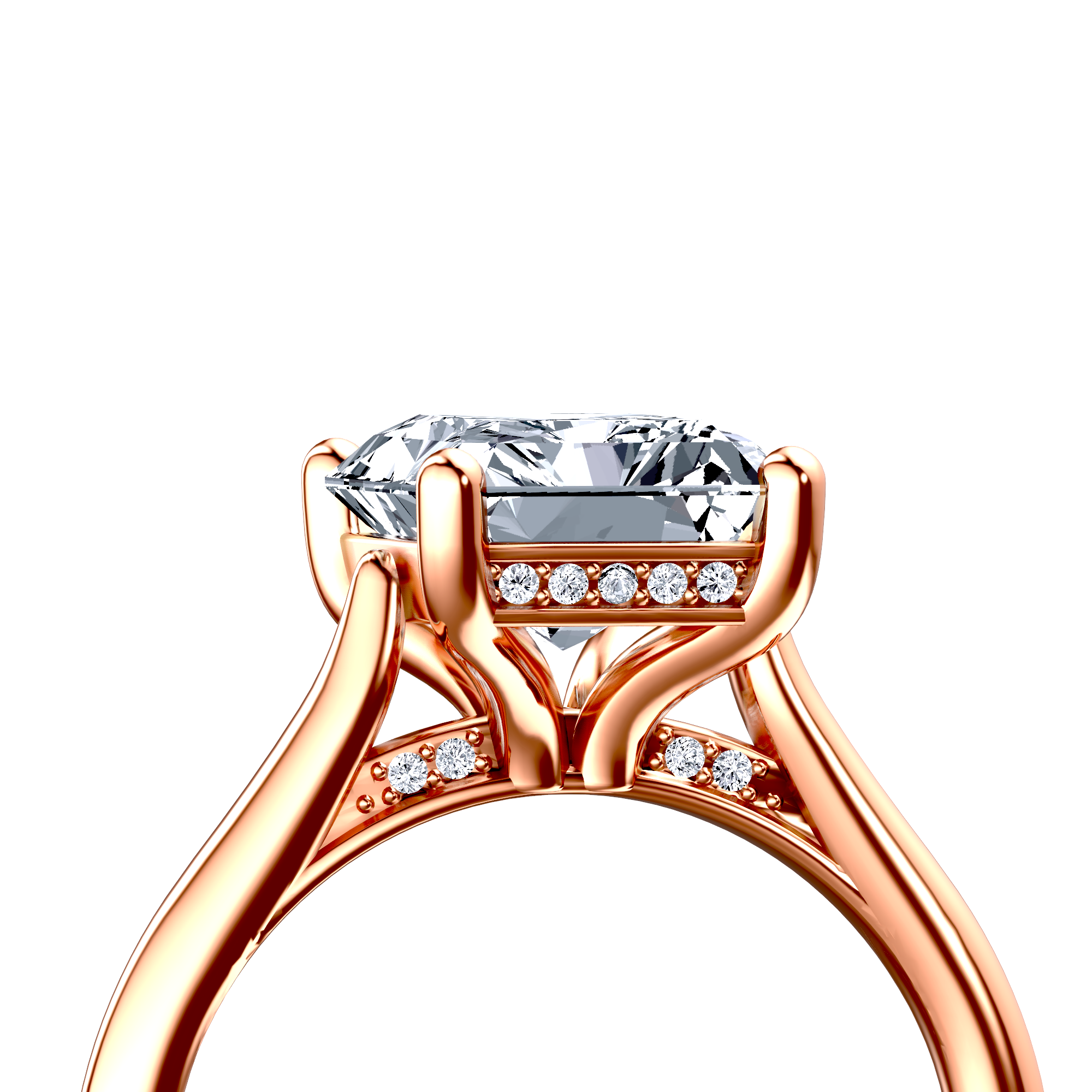 Image for The Theia