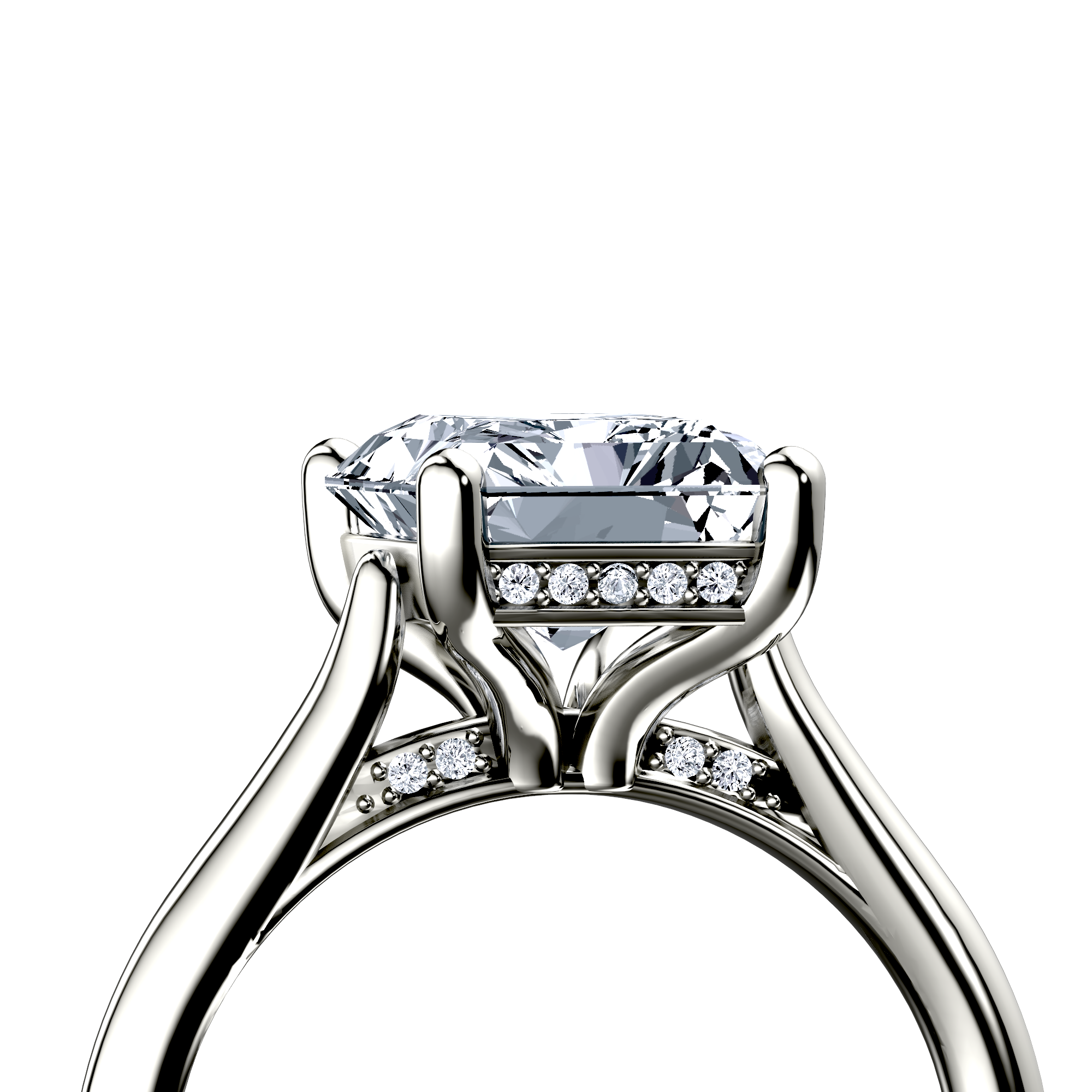 Image for The Theia