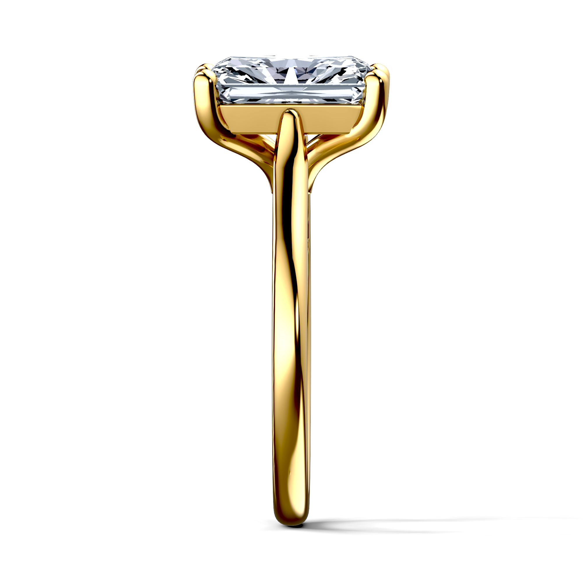 Image for The Theia