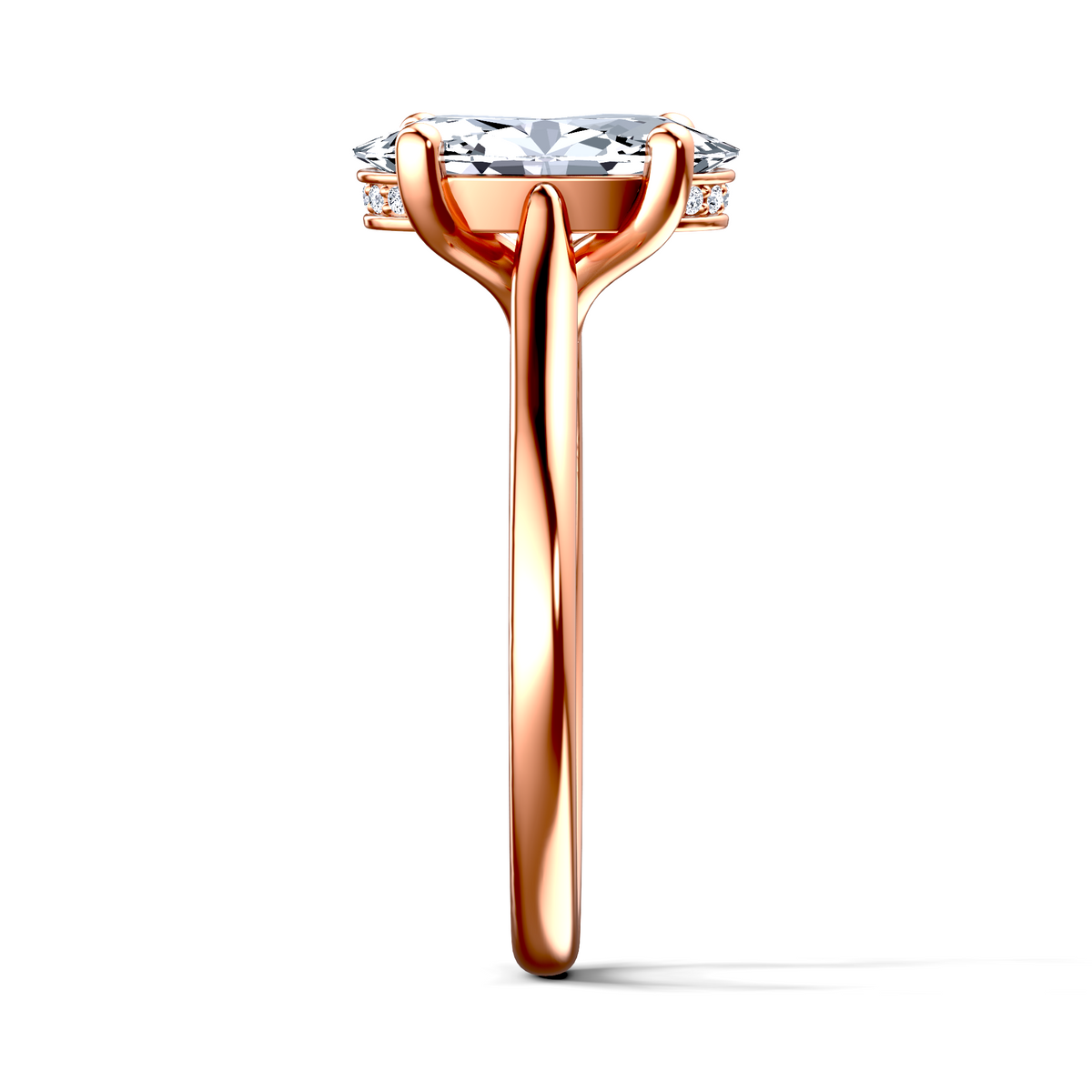 Image for The Theia