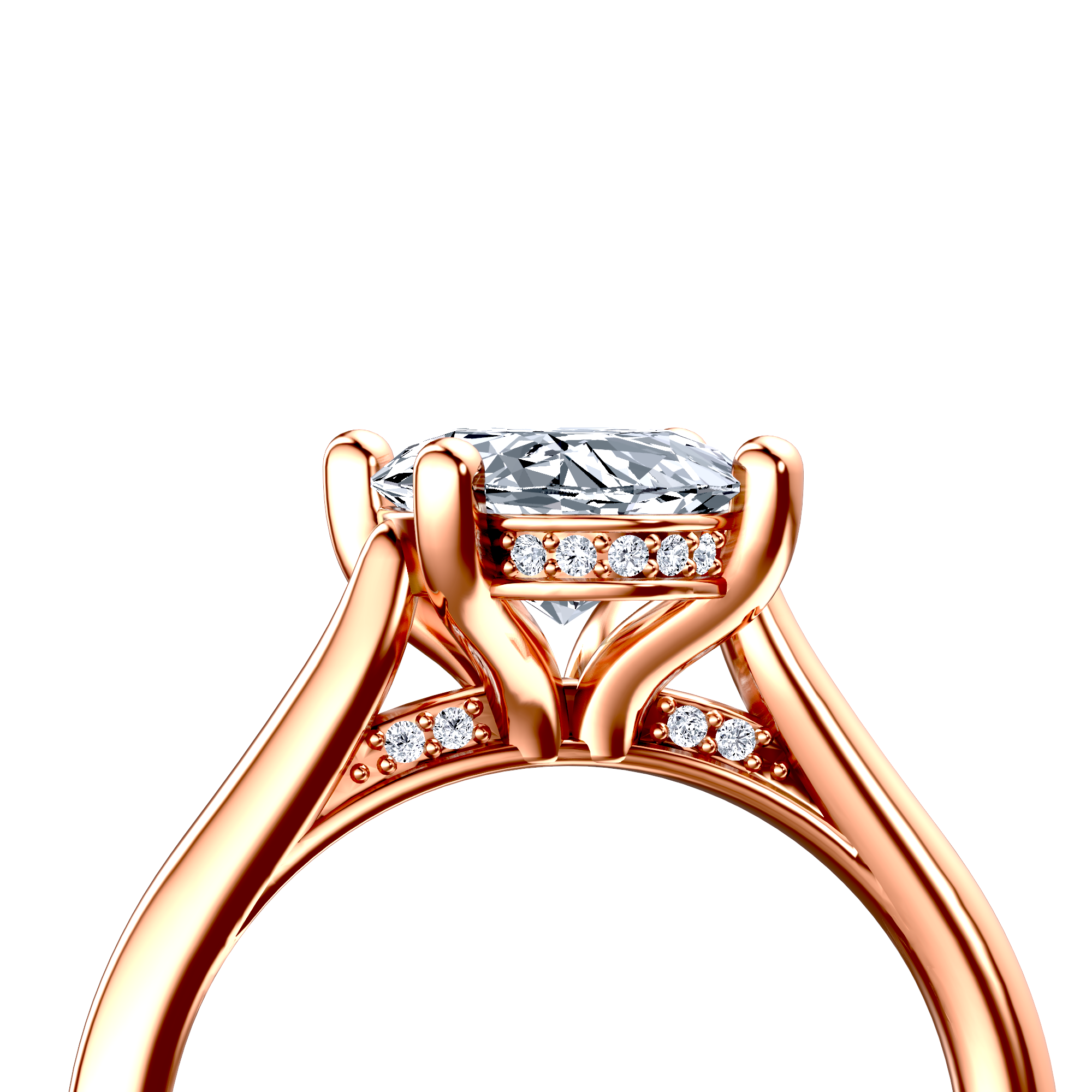 Image for The Theia
