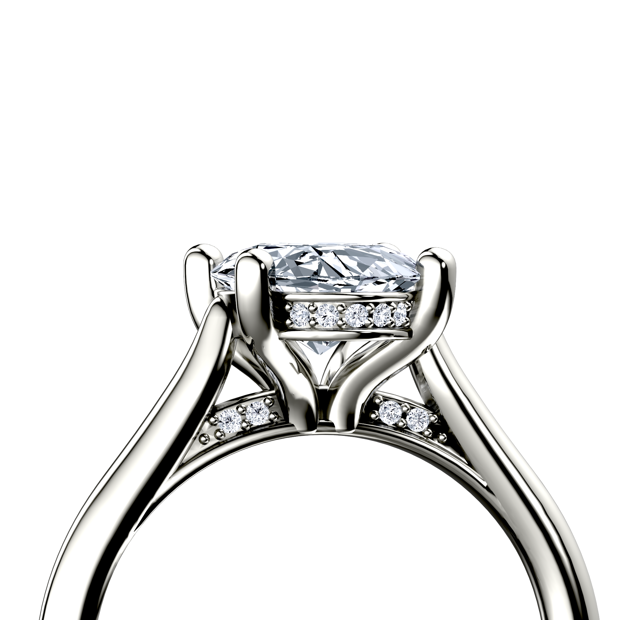 Image for The Theia