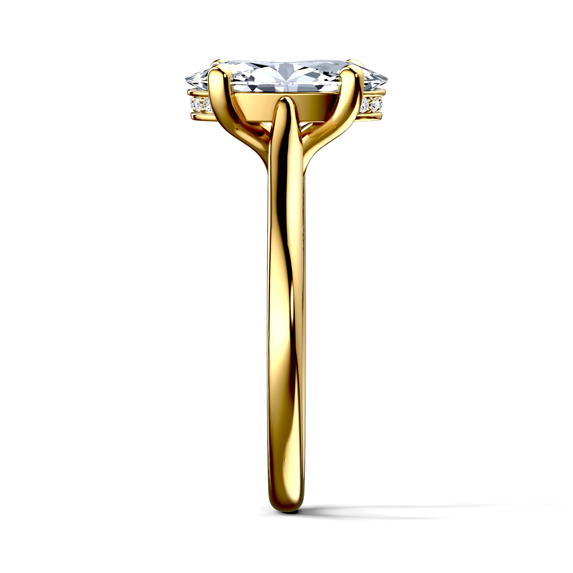 Image for The Theia