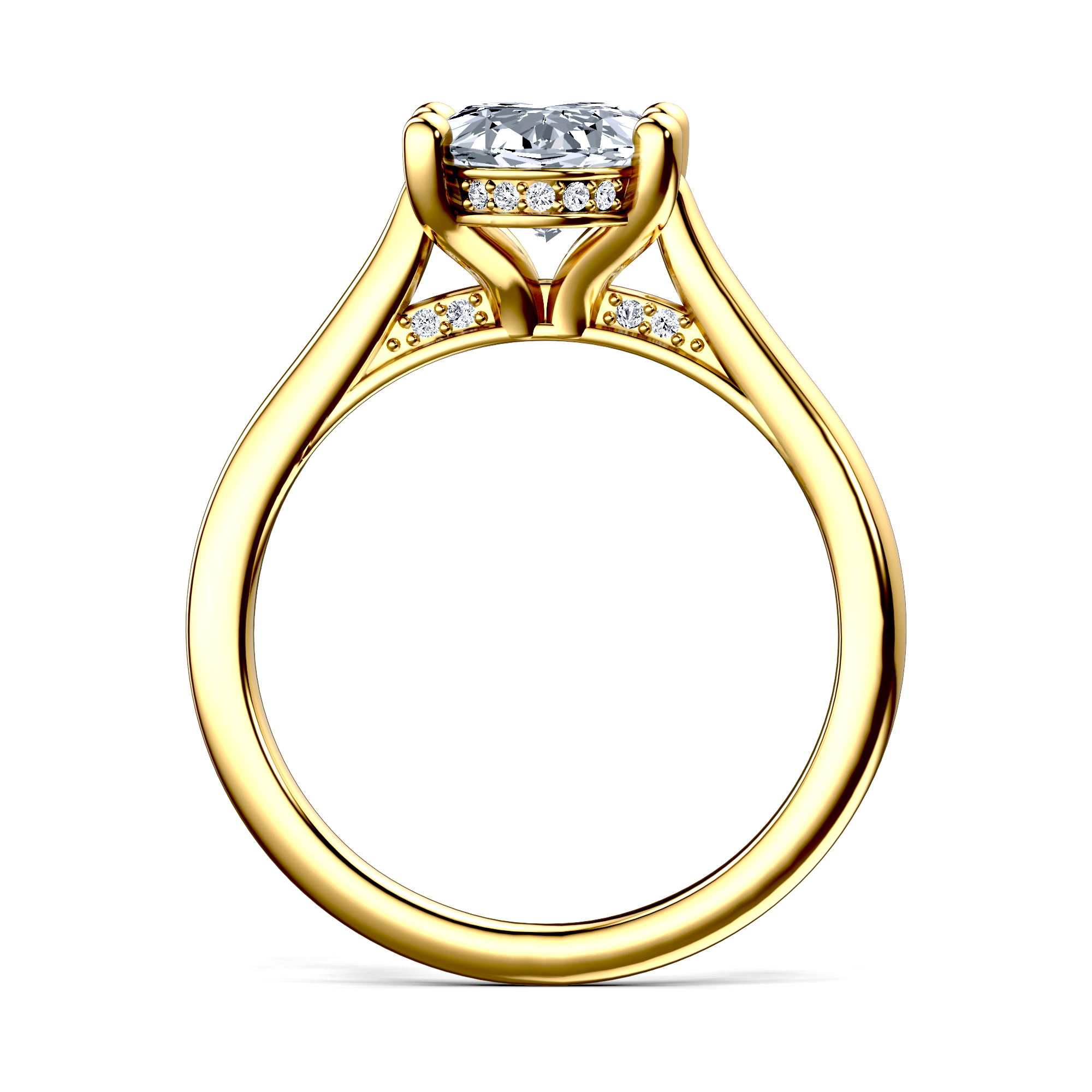Image for The Theia