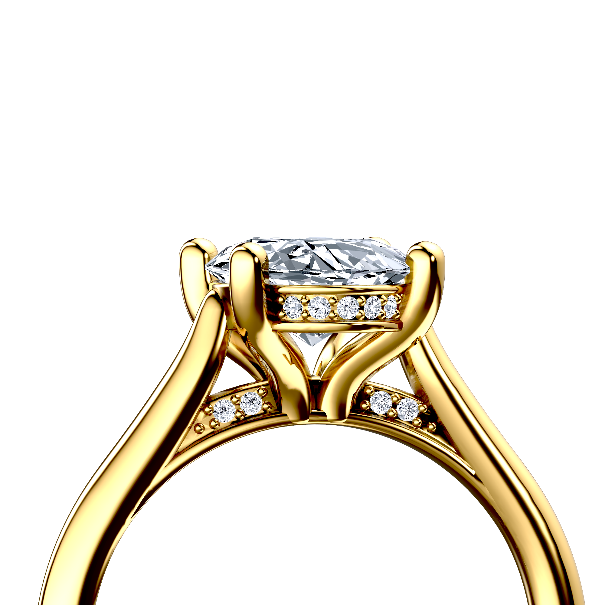 Image for The Theia