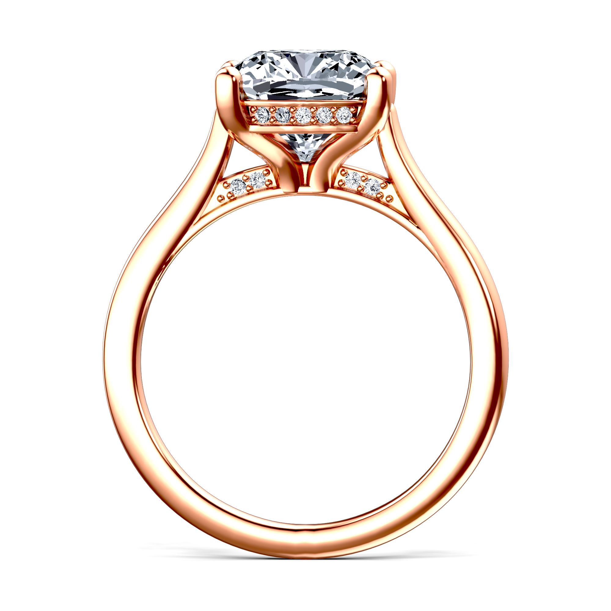 Image for The Theia