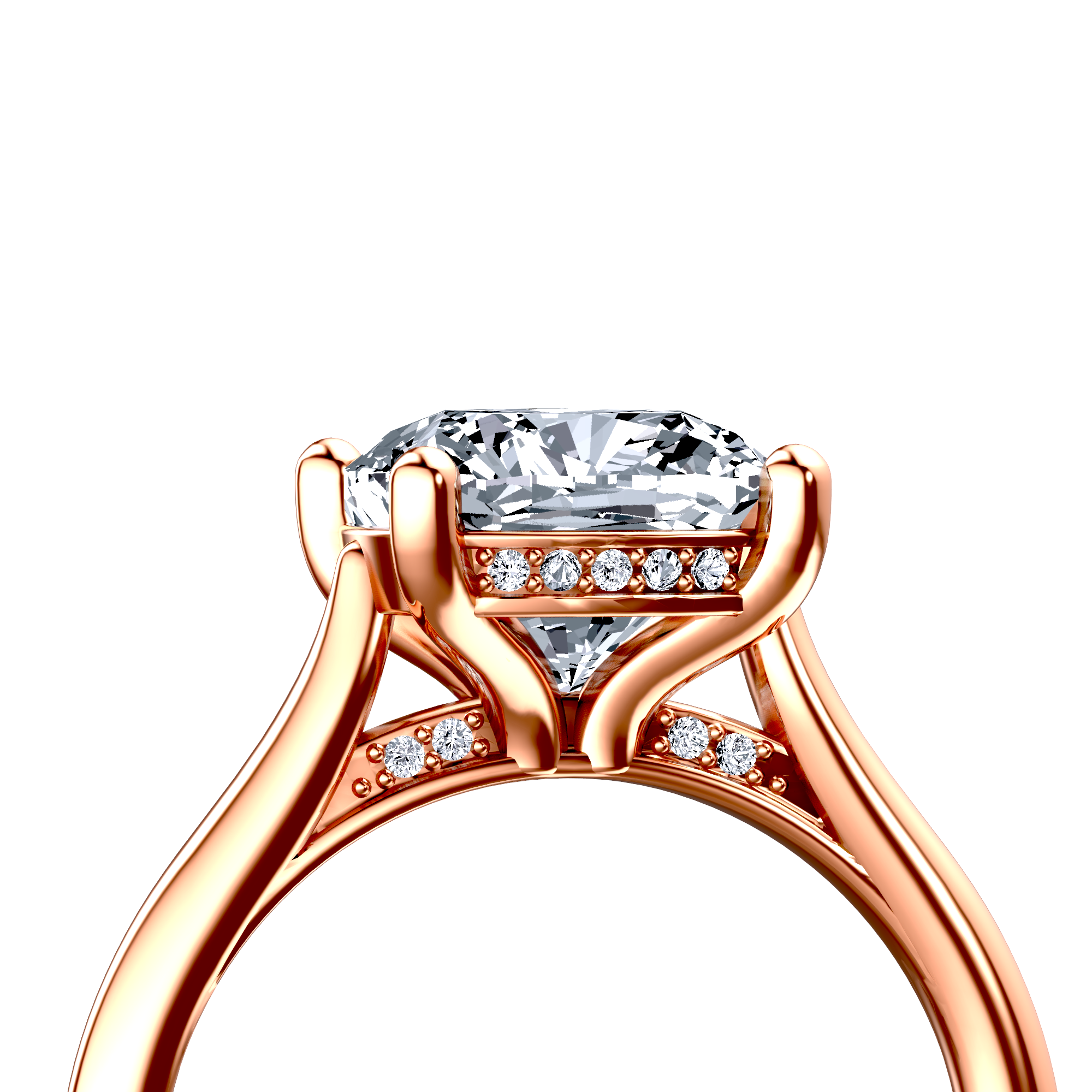 Image for The Theia