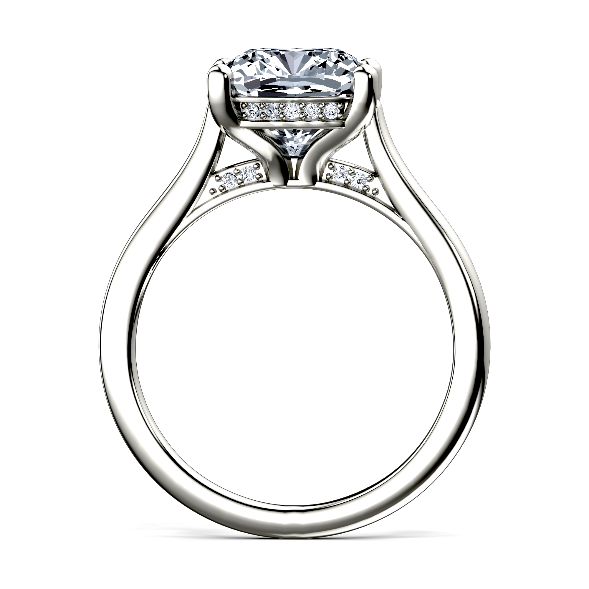 Image for The Theia