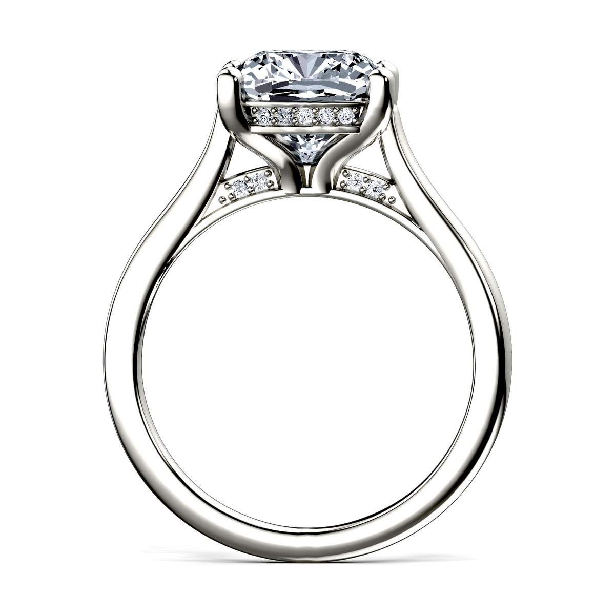 Image for The Theia