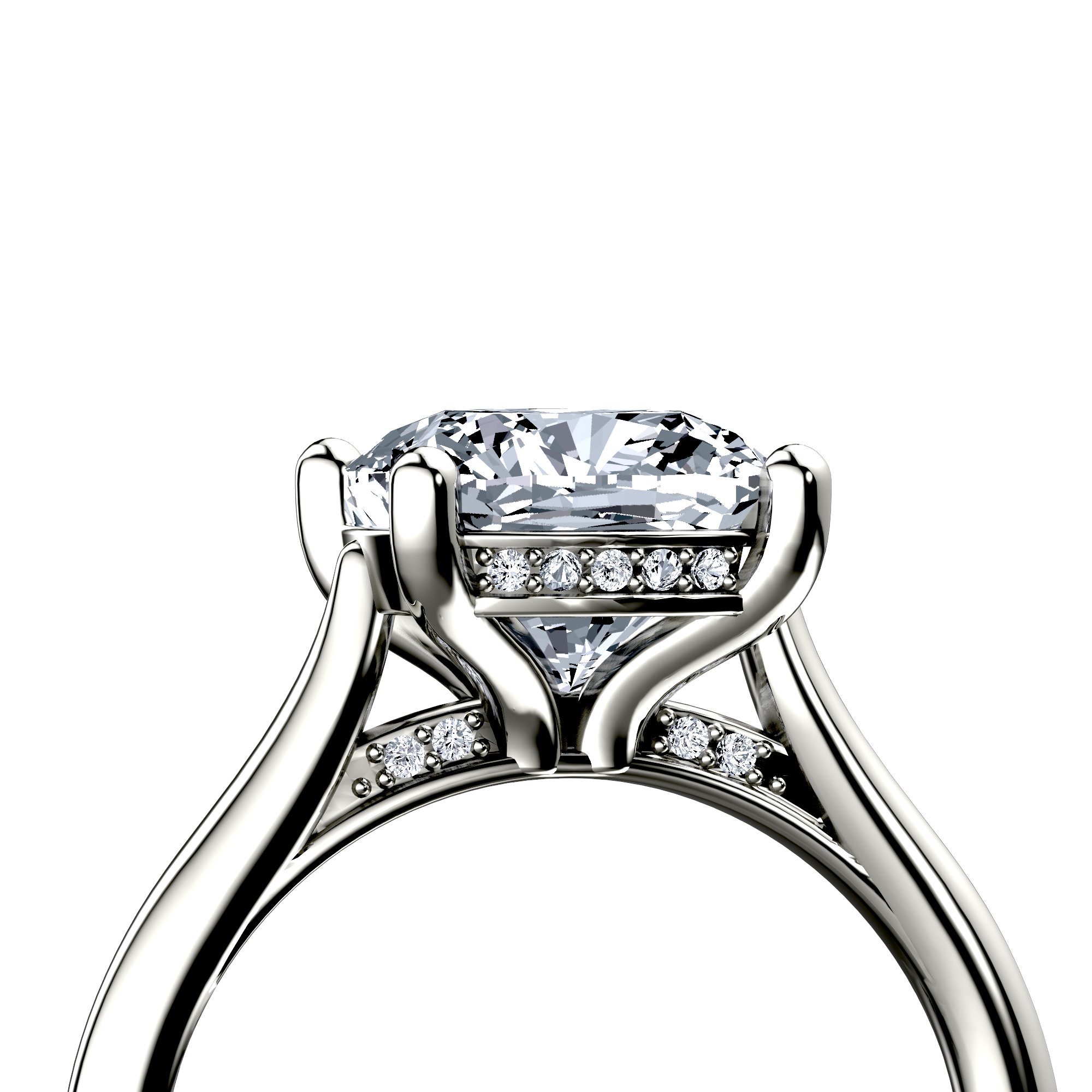 Image for The Theia