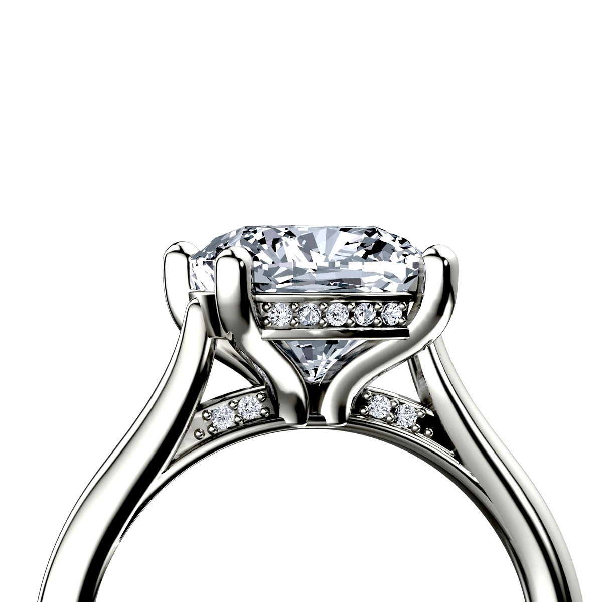 Image for The Theia