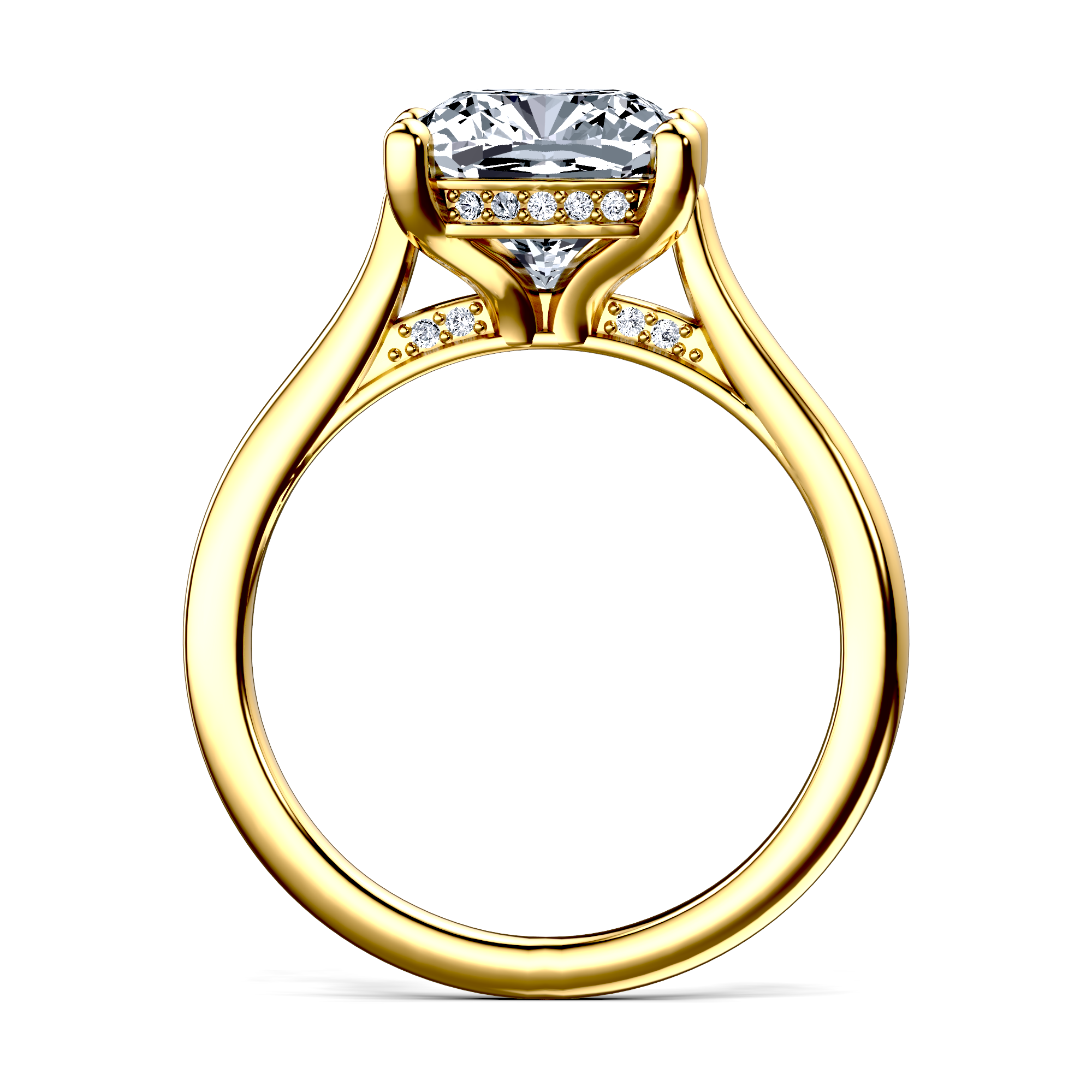 Image for The Theia