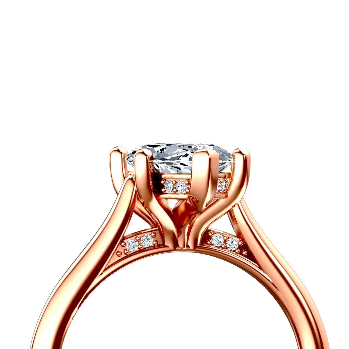 Image for The Theia