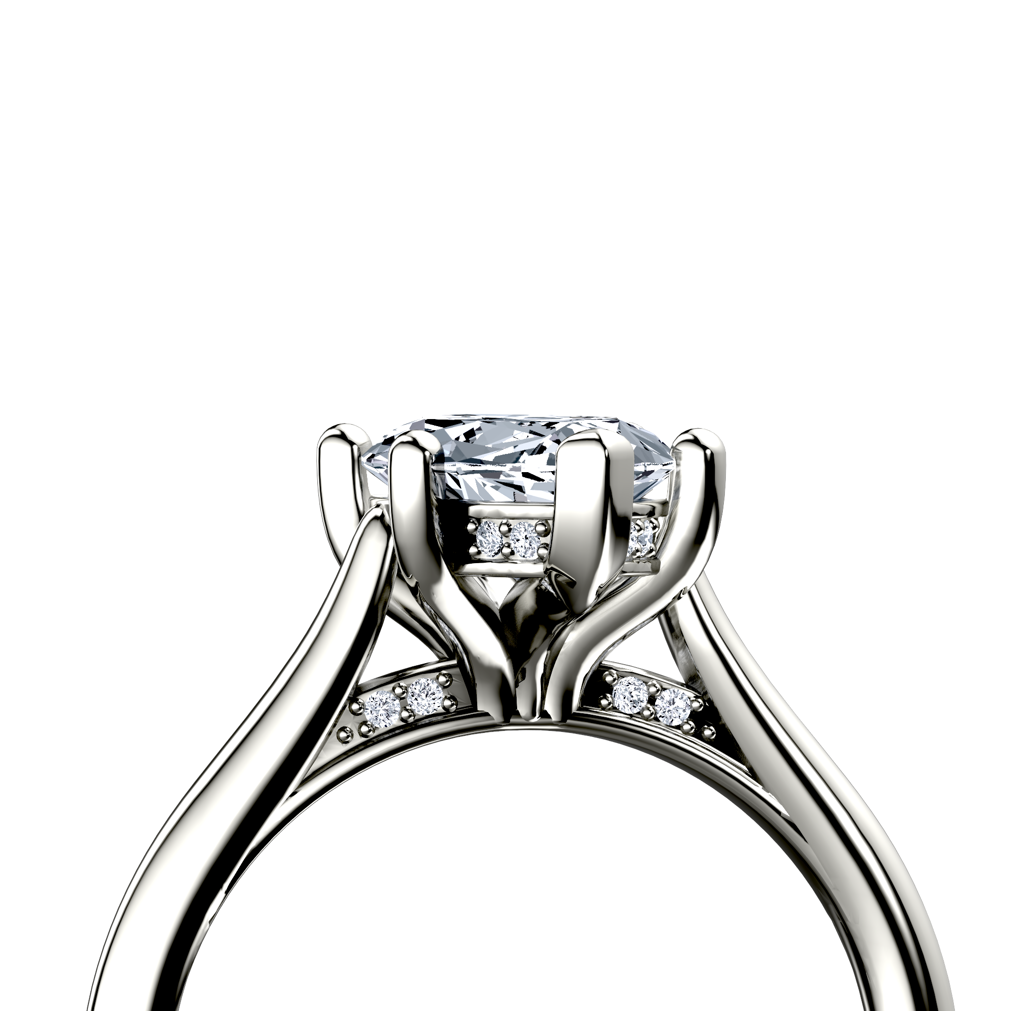 Image for The Theia