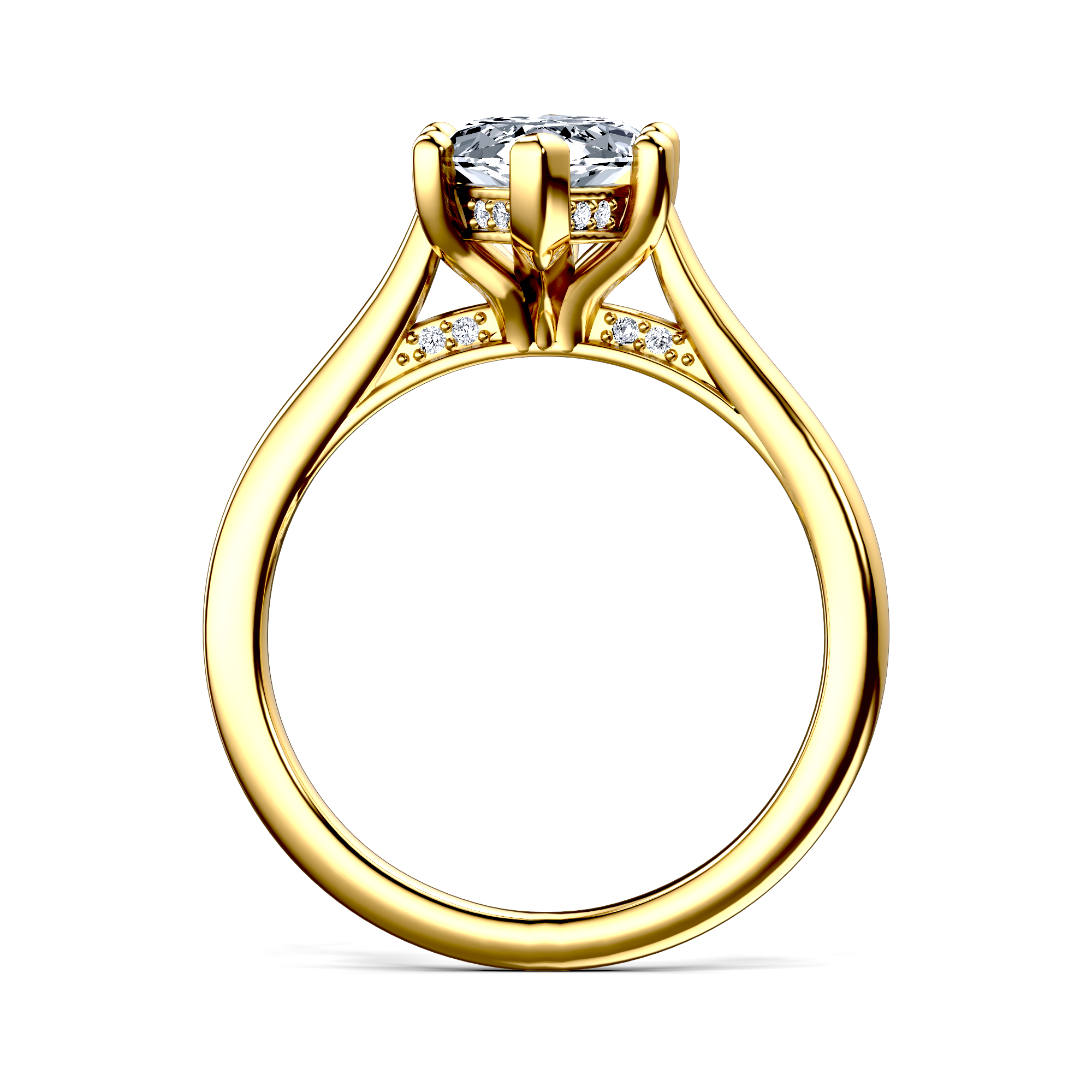 Image for The Theia