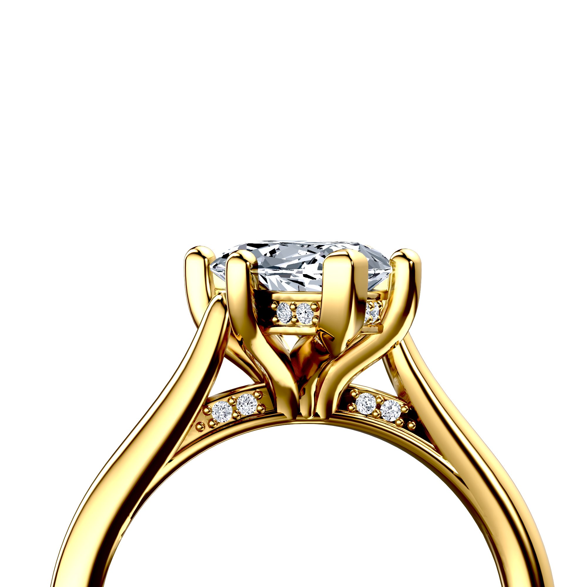 Image for The Theia