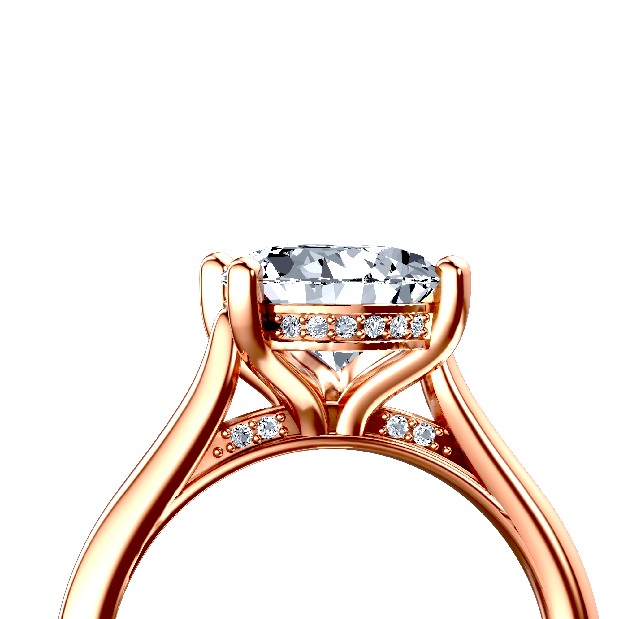 Image for The Theia