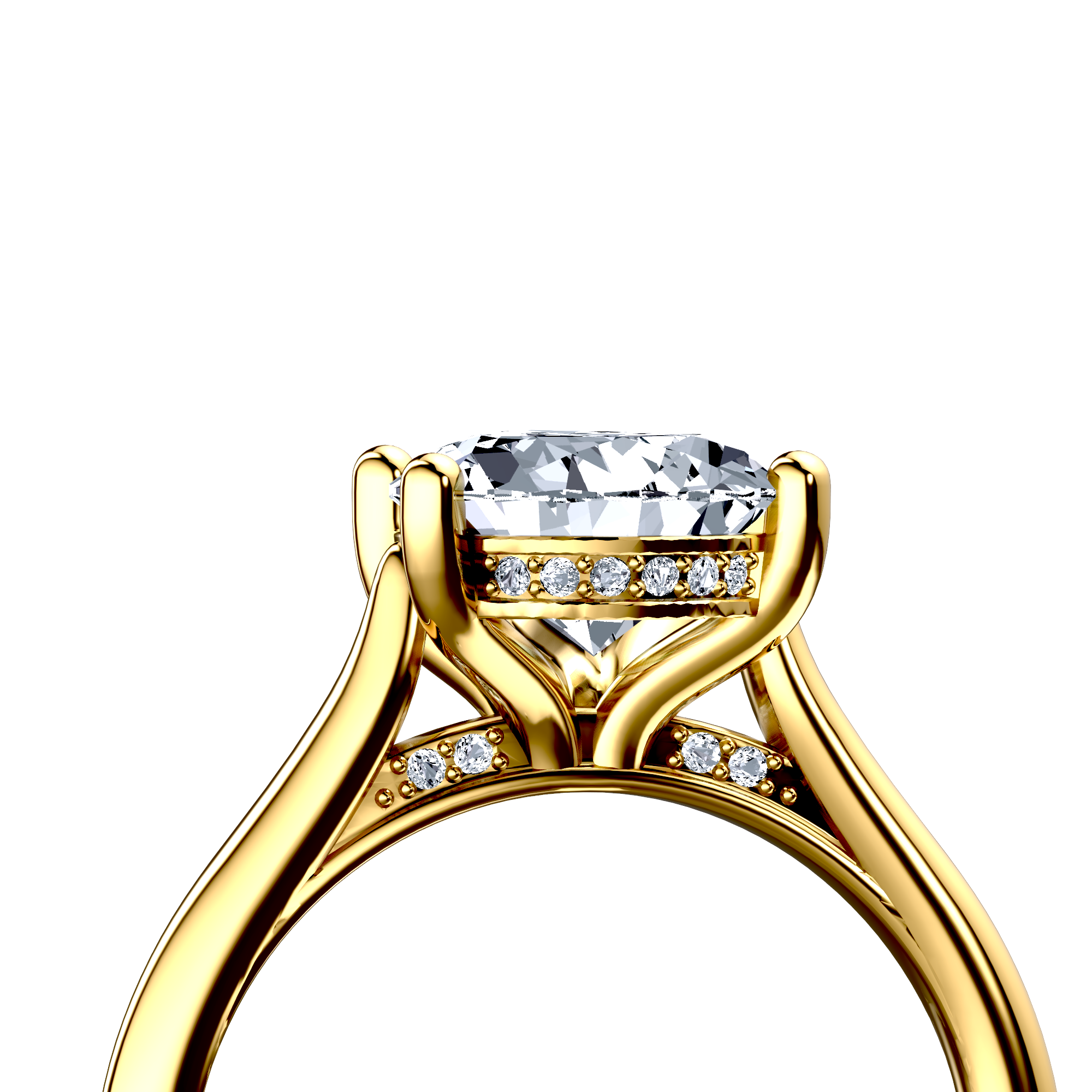 Image for The Theia