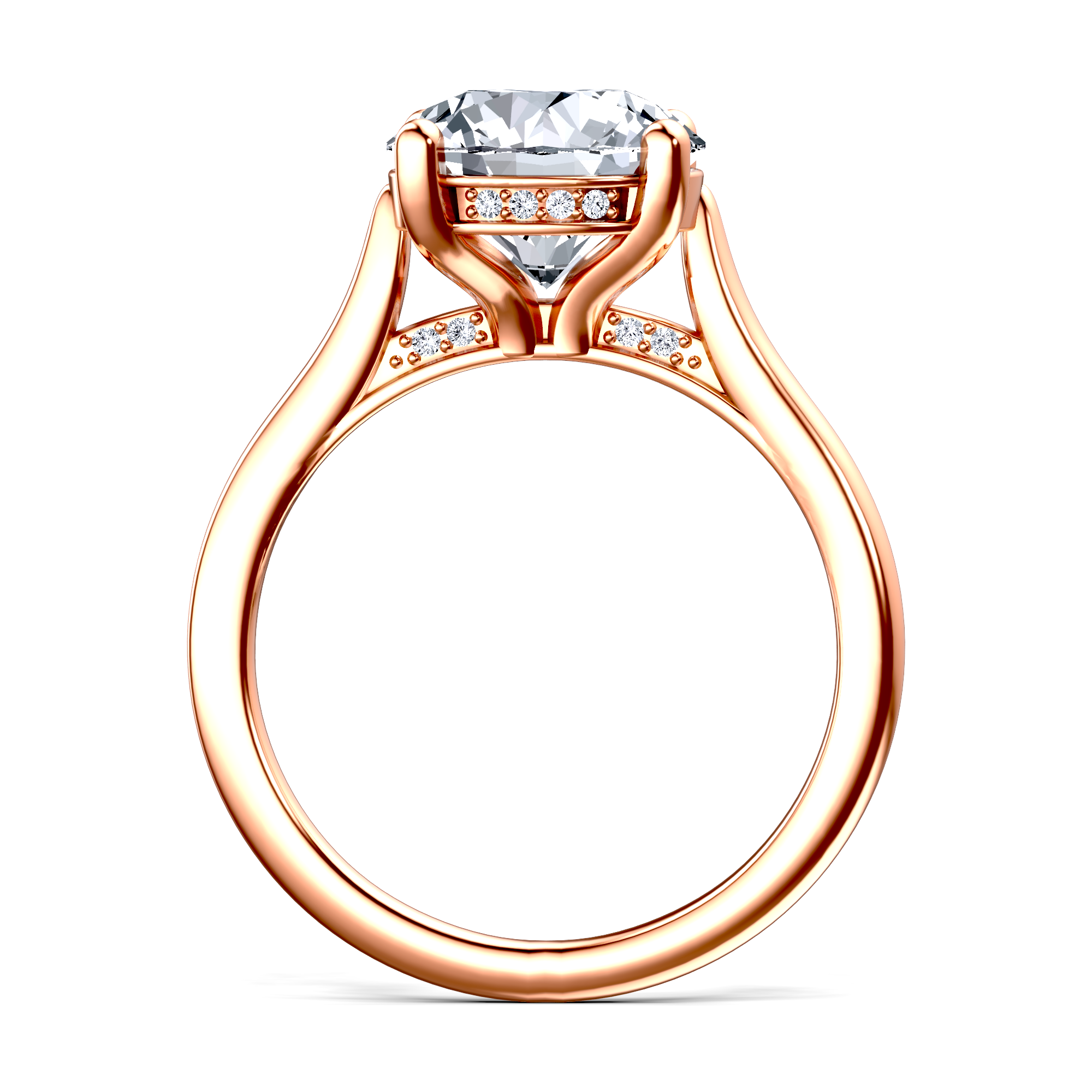 Image for The Theia