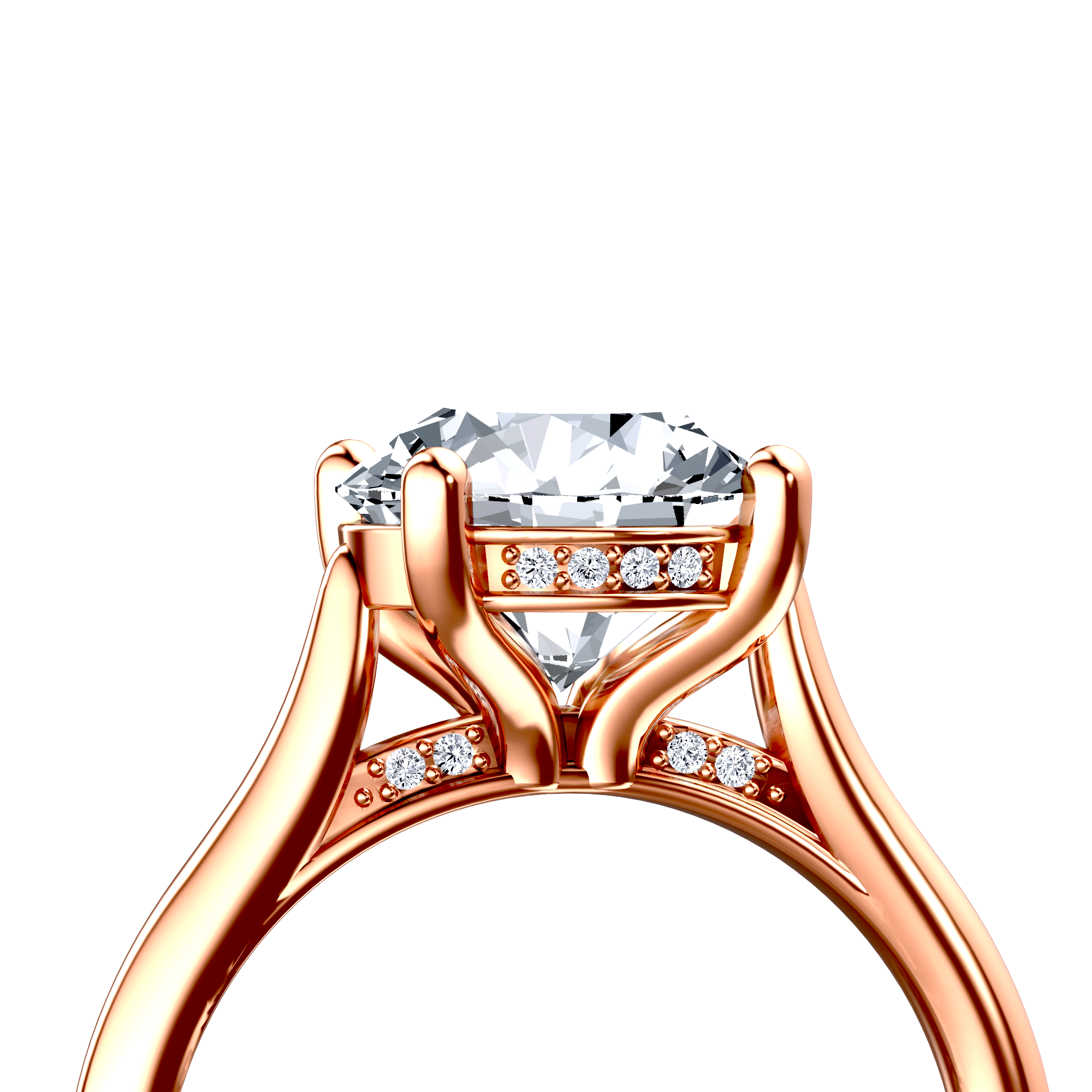 Image for The Theia