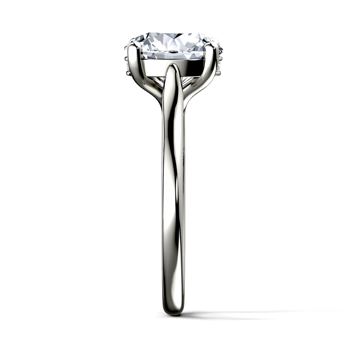 Image for The Theia