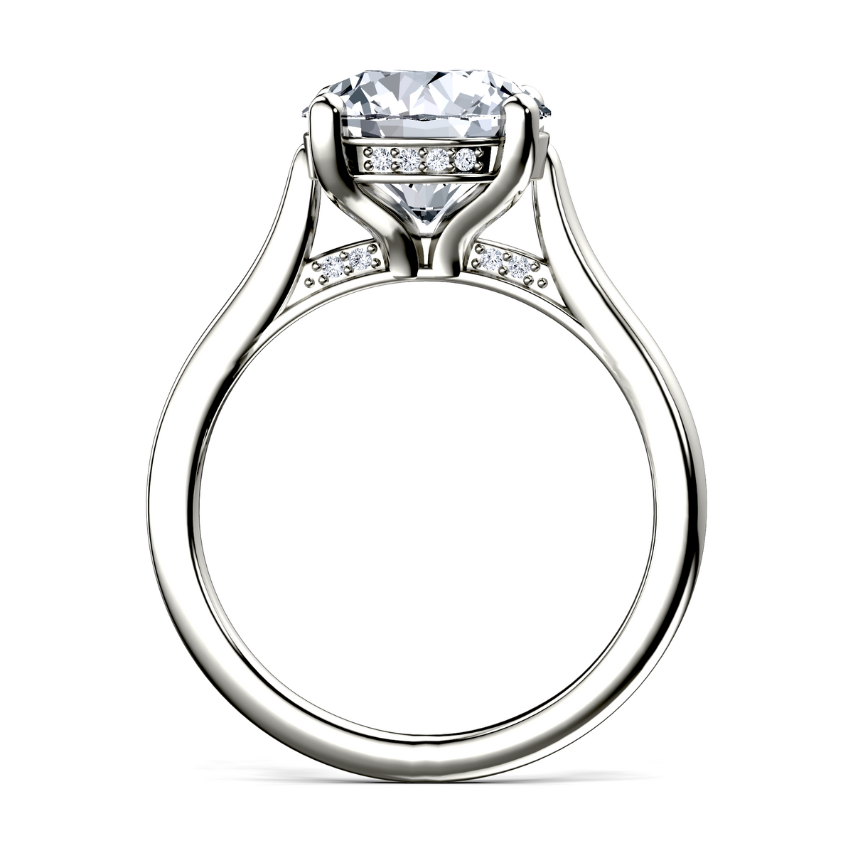 Image for The Theia