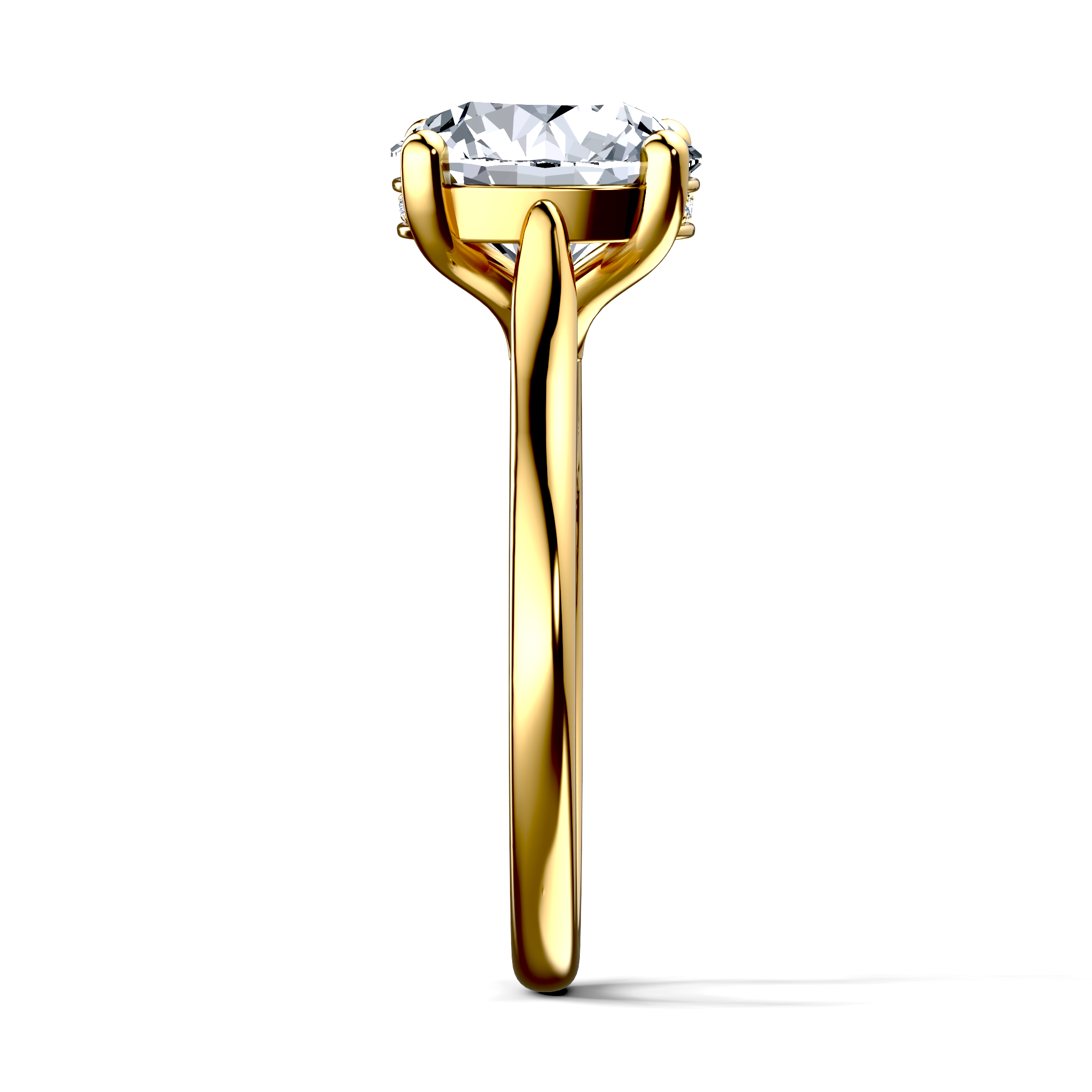 Image for The Theia