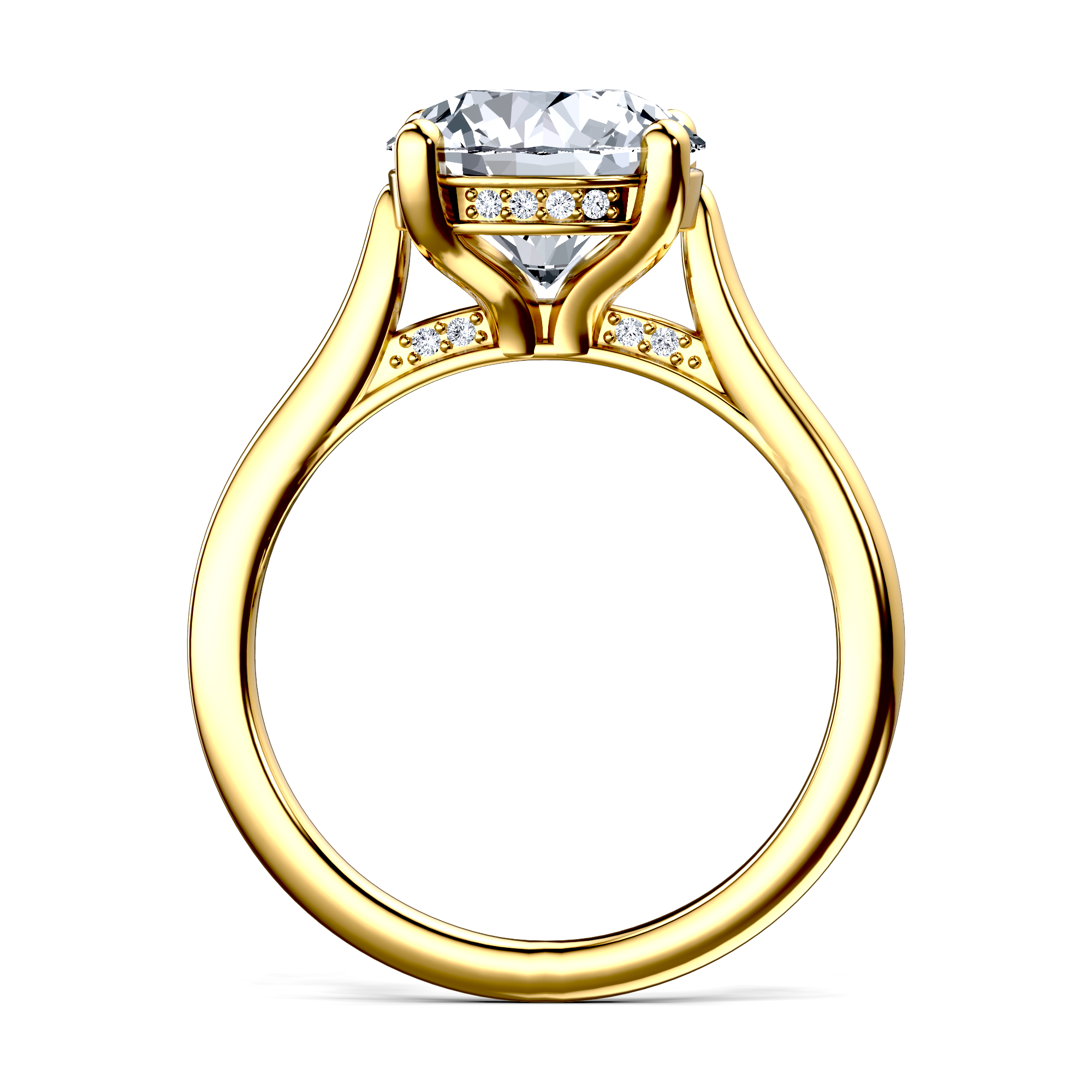 Image for The Theia
