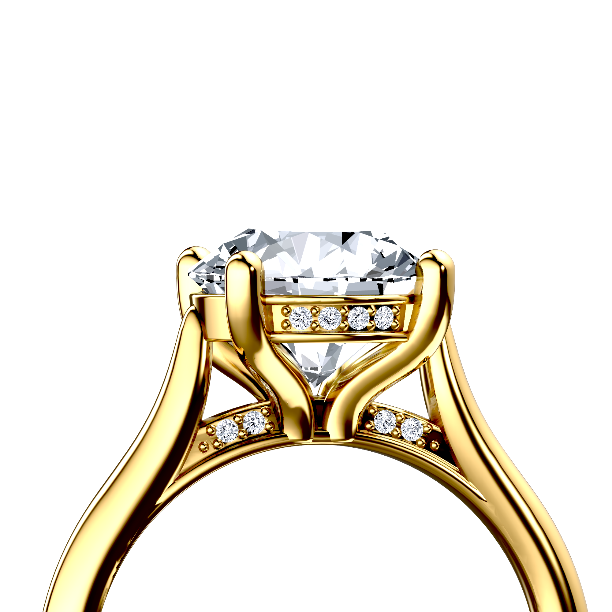 Image for The Theia