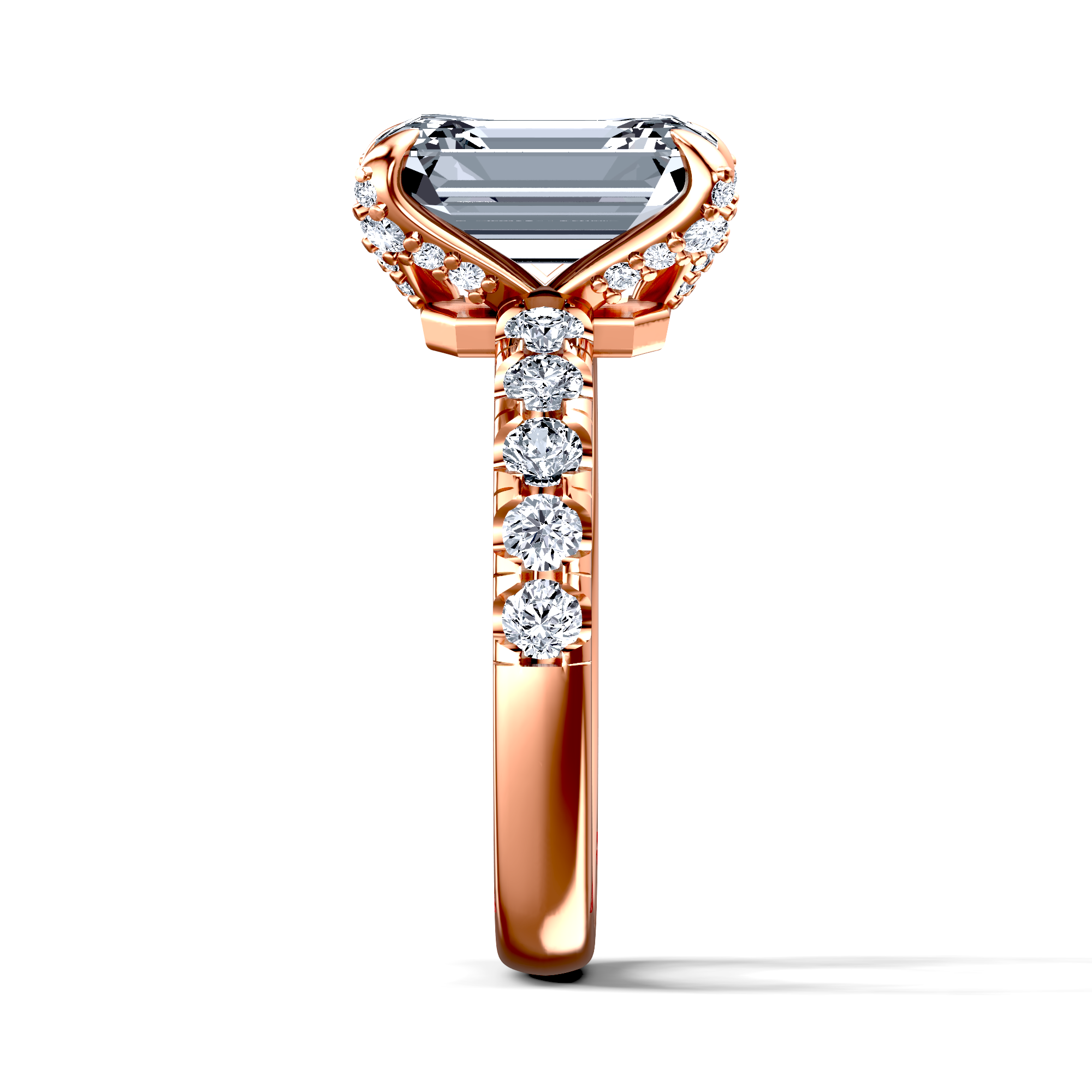 Image for The Phoebe