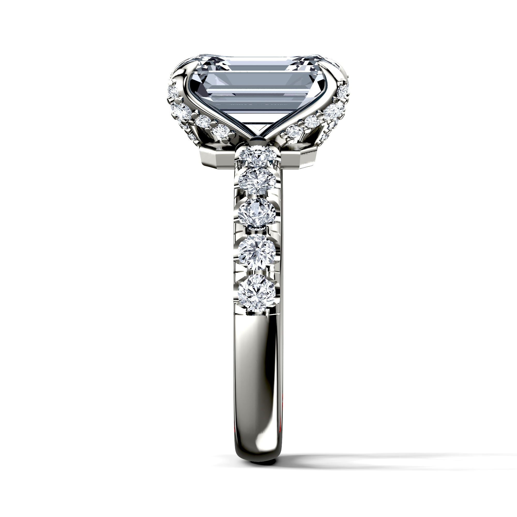 Image for The Phoebe