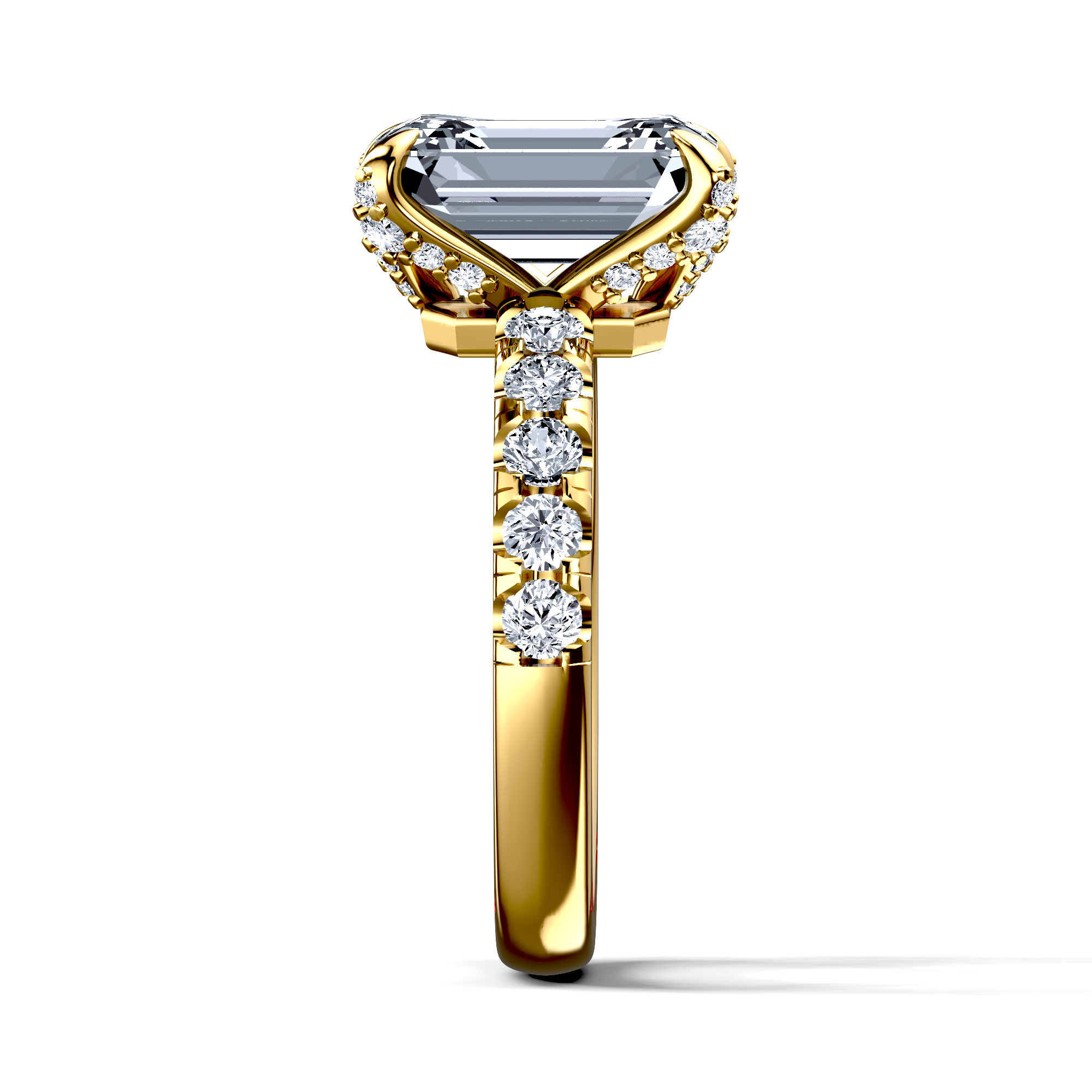 Image for The Phoebe