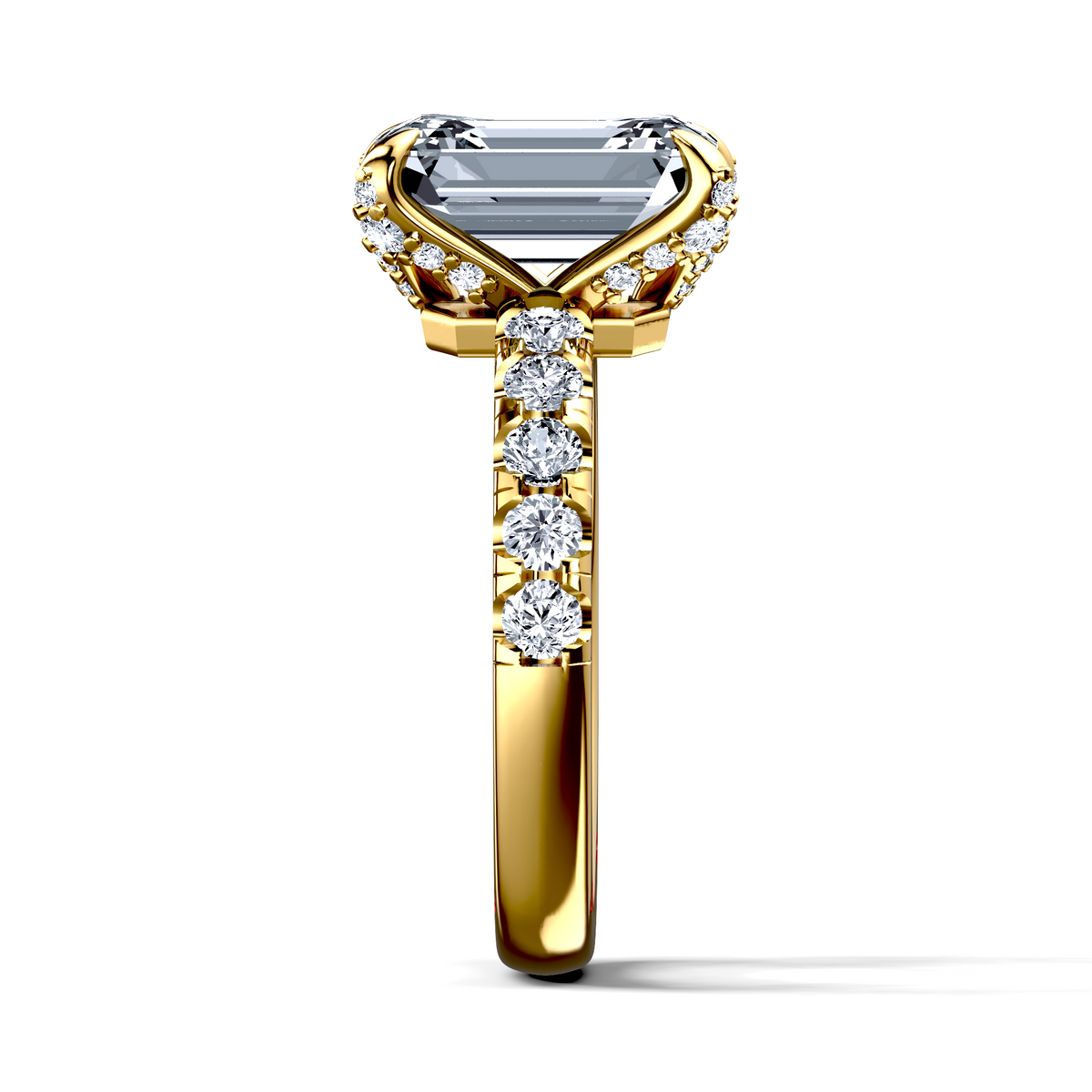Image for The Phoebe