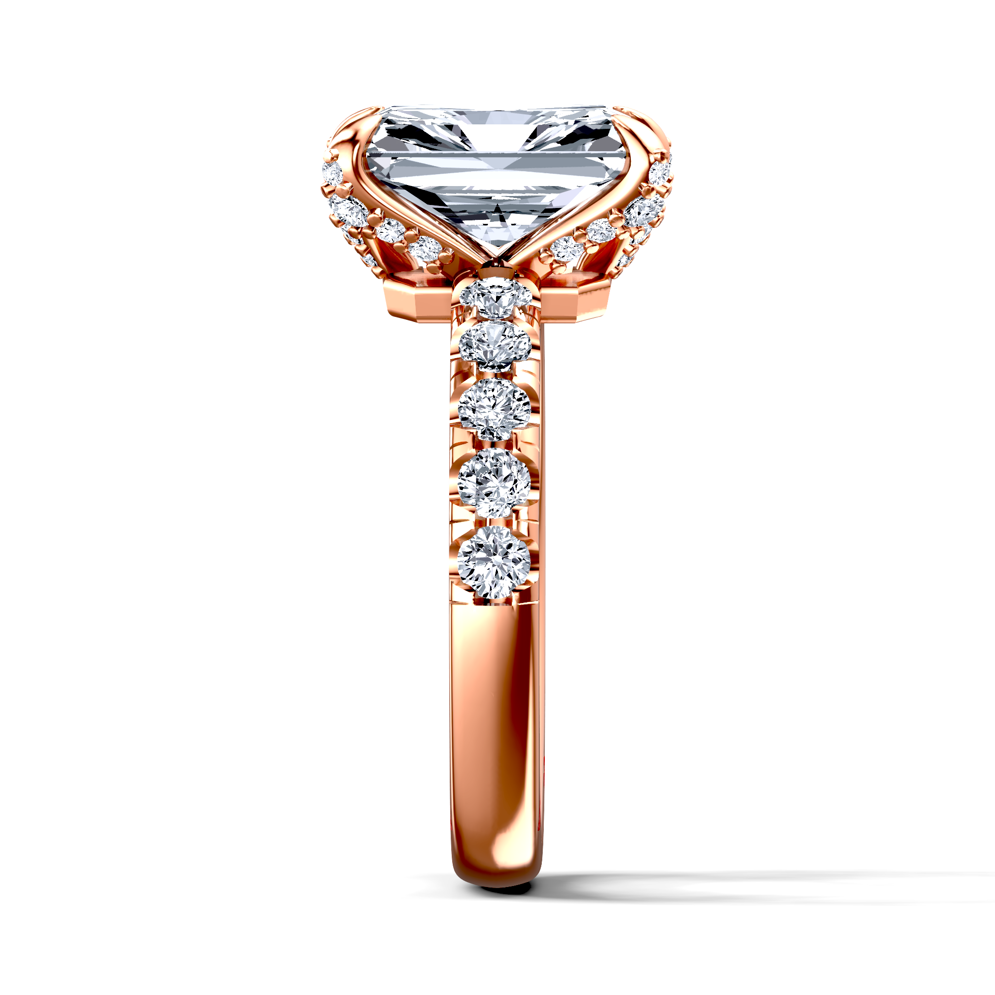 Image for The Phoebe
