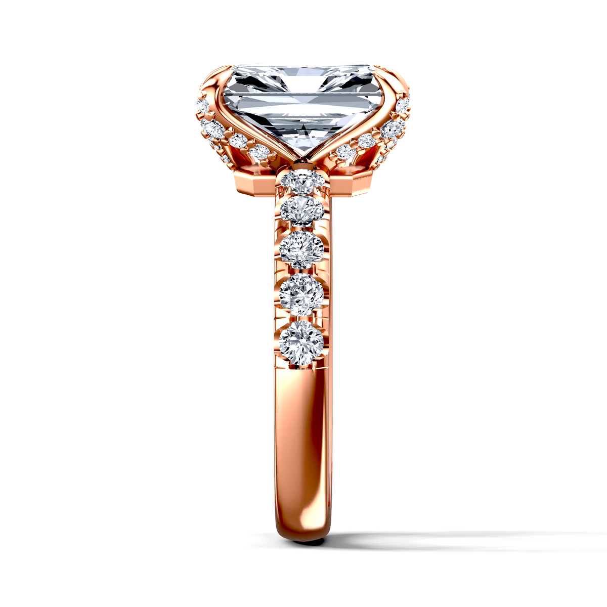 Image for The Phoebe