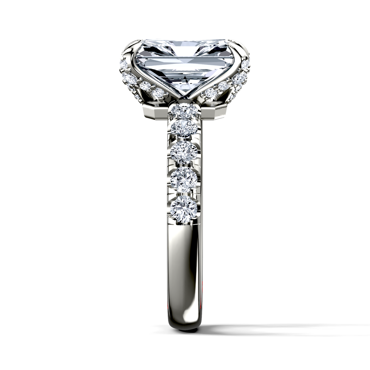 Image for The Phoebe